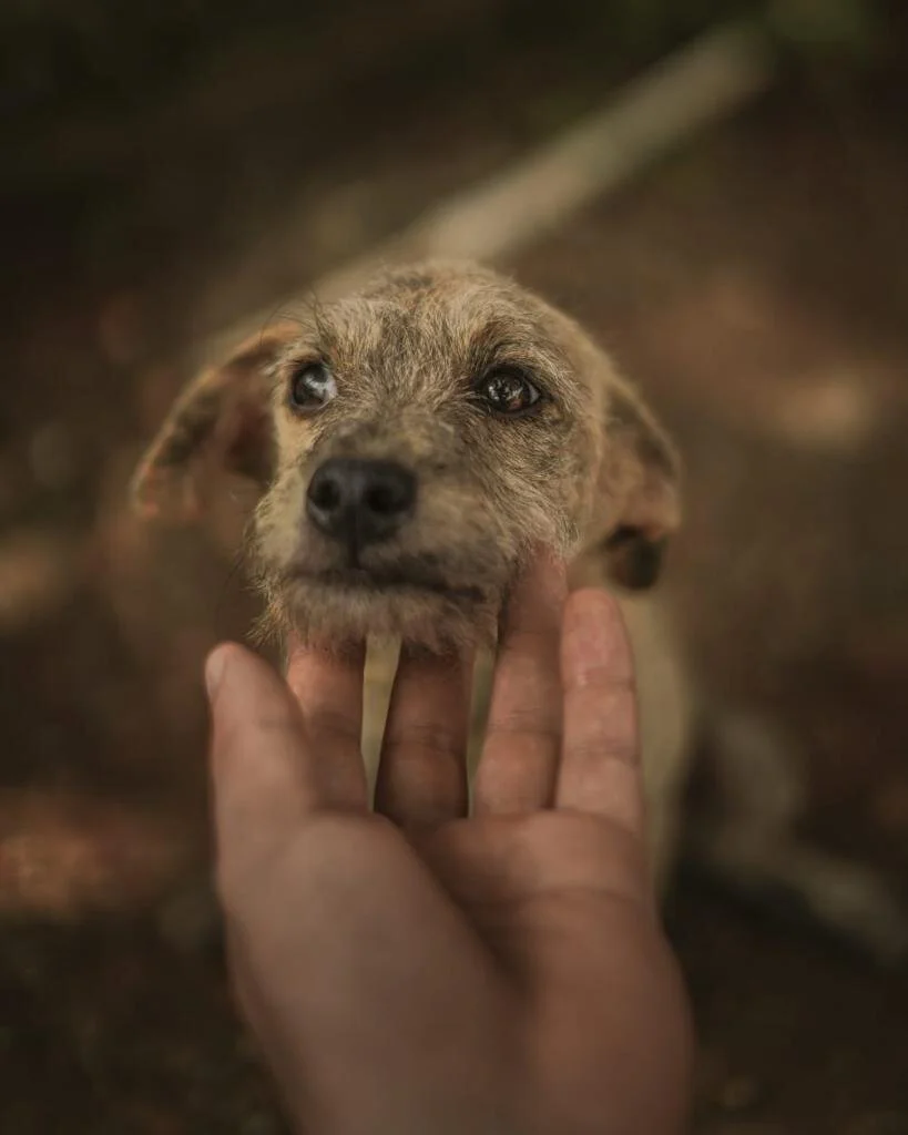 WhatsApp Image 2020-12-28 at 2.45.39 PM.jpeg