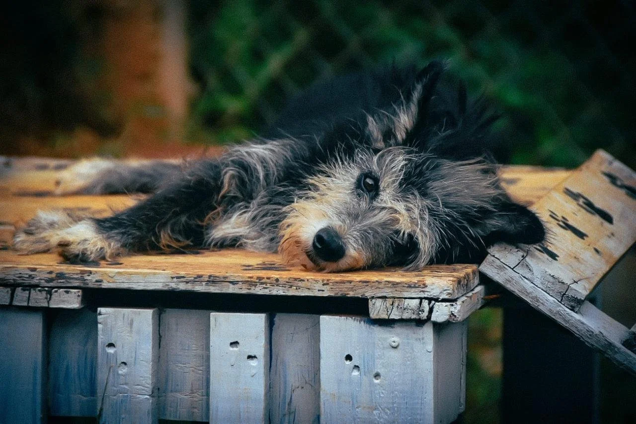 WhatsApp Image 2024-09-25 at 11.31.48 AM.jpeg