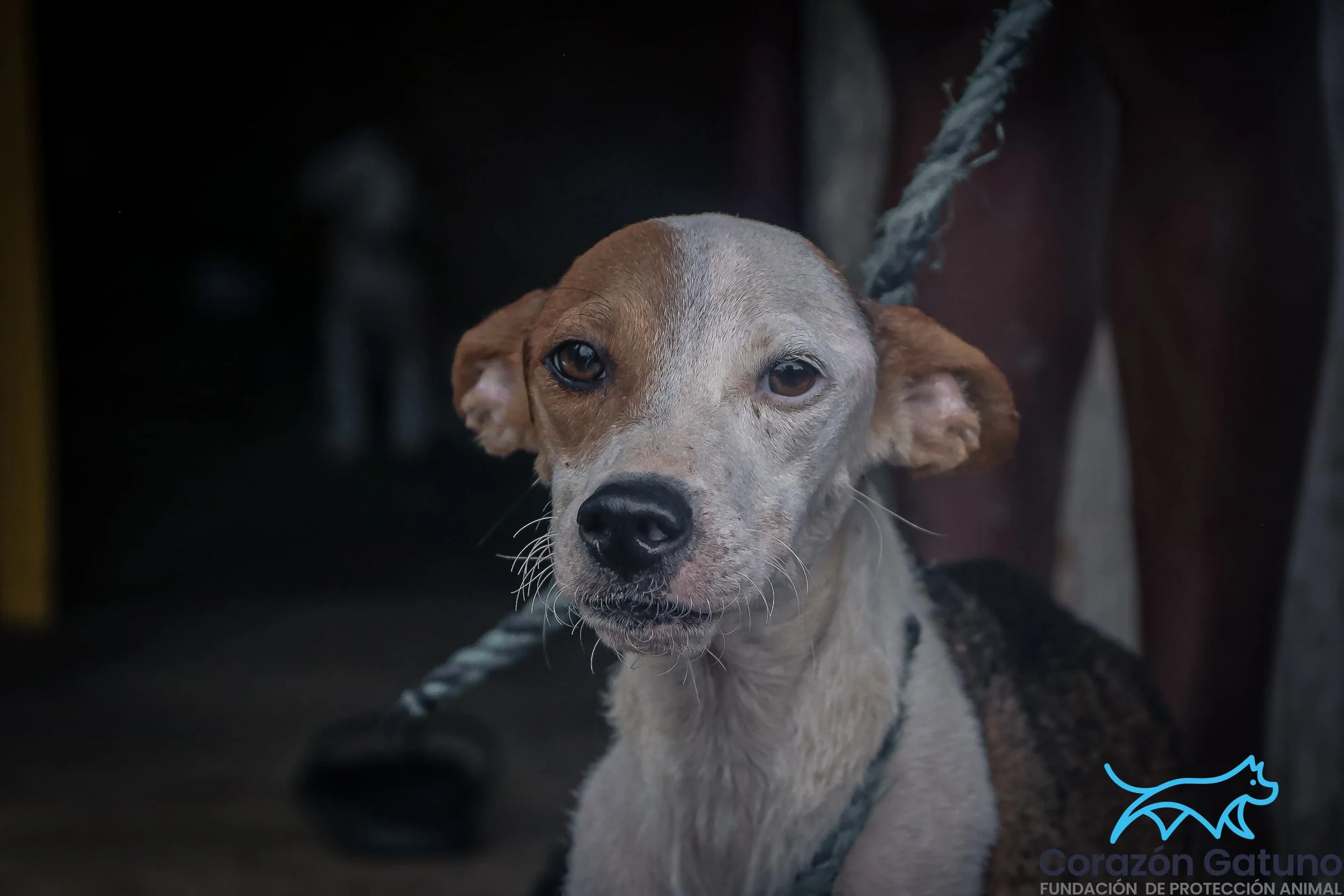 WhatsApp Image 2024-09-25 at 11.34.33 AM.jpeg