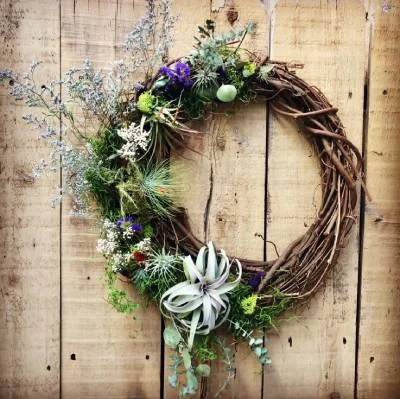 DIY - Air Plant Wreath