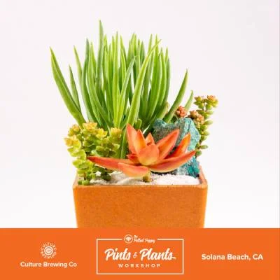 Pints and Plants Workshop