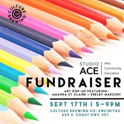studioaceflyer (1).jpg