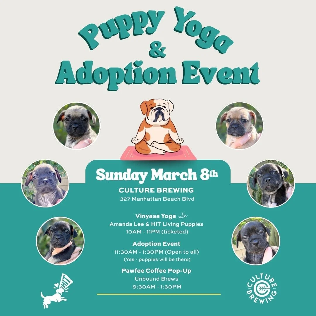 Puppy Yoga + Adoption Event
