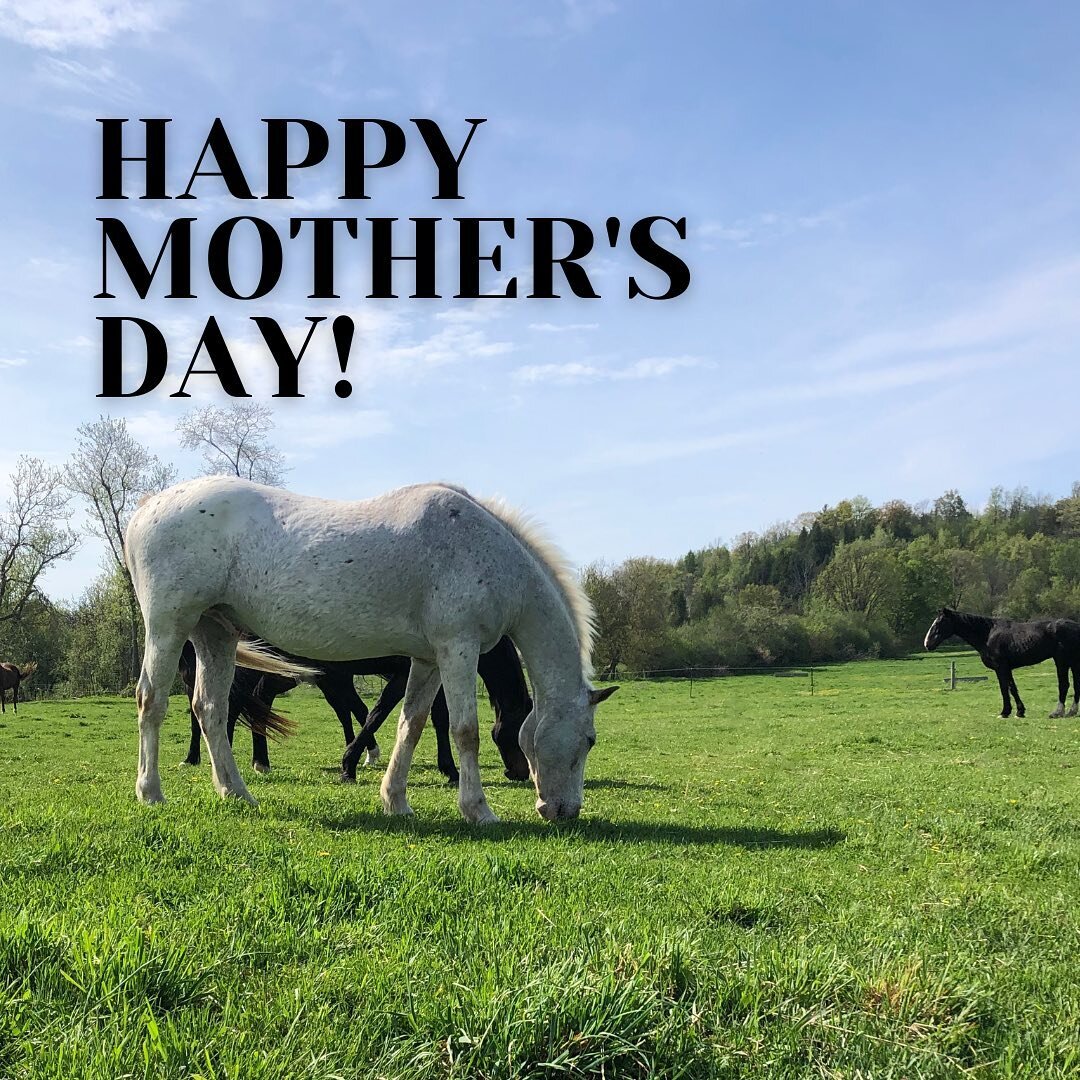 Happy Mother&rsquo;s Day from the Saddlewood family to yours!