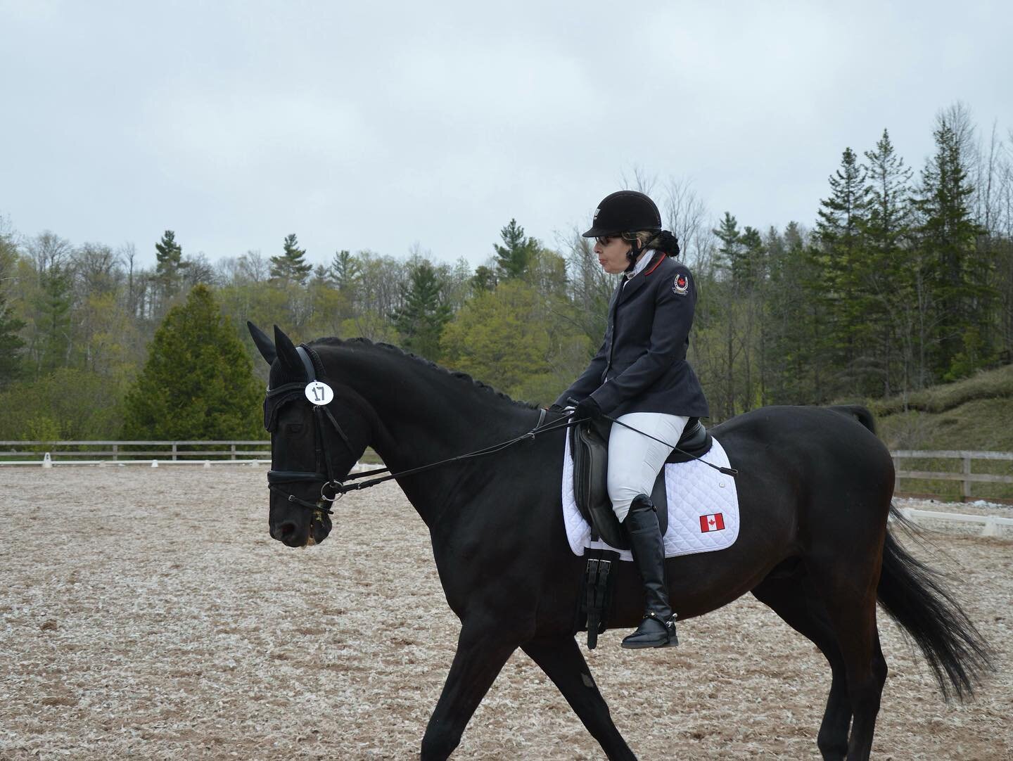 We saw Saddlewood alumni Jody Schloss at the Cadora Dressage show on the weekend of May 6-7th. Jody attended Saddlewood Camp 35 years ago! Congrats on your great test! We love to see our alumni and their riding accomplishments.