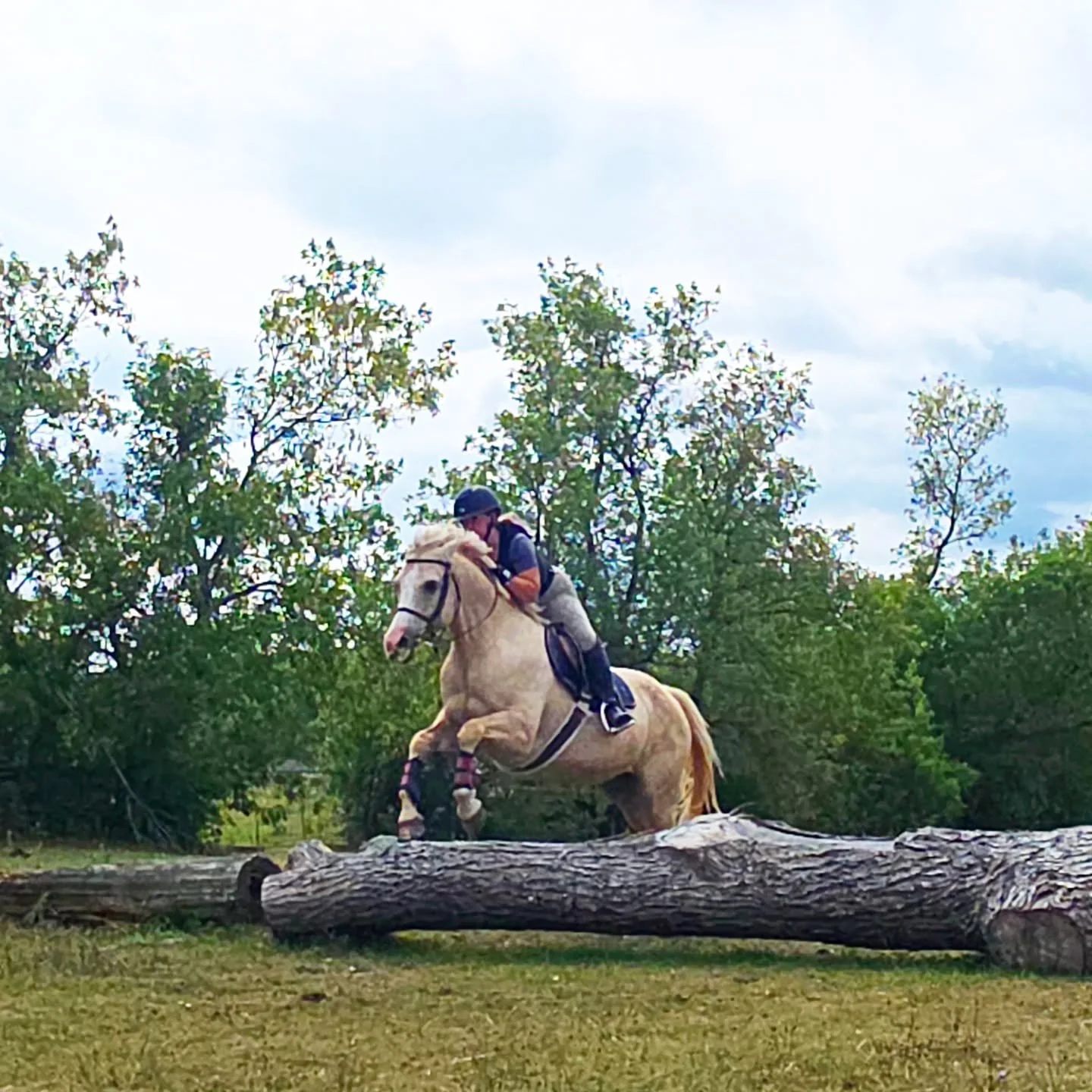 With all the rain and mud this time of year we are dreaming of green summer fields and cross country 🌞🏇
Summer Camp Registration  will be opening within the week! 🙌

This is NOT an April Fools joke!

 We're  sorry  for the delay. Returning campers