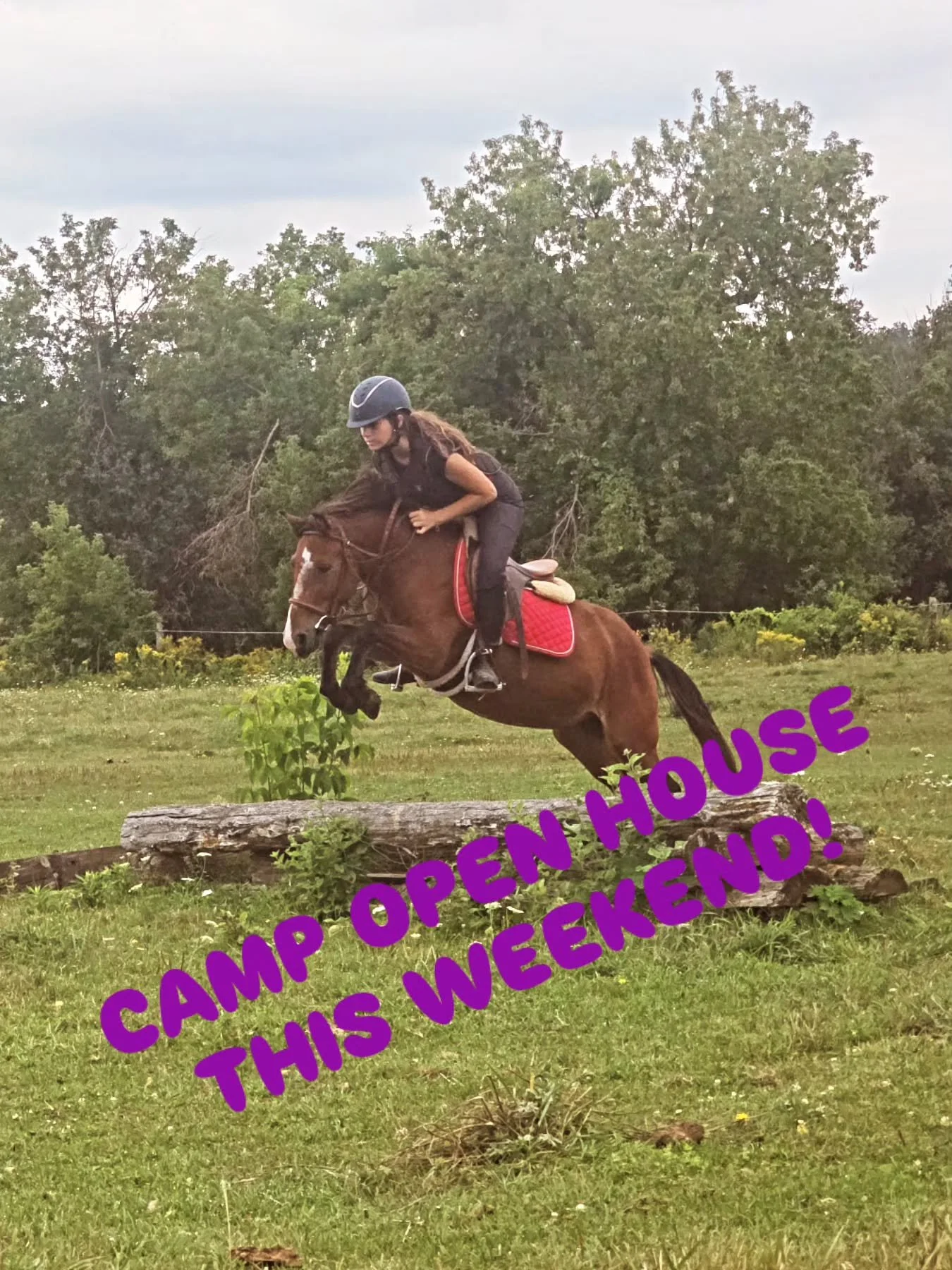 Thinking about  summer camp, or already  registered? Come out to visit this weekend. 
Saturday May 9 and 10 from 11-2. 

We look forward to seeing you! 

Link in bio for more info. 

#summerhorsecamp #saddlewoodcamp #campopenhouse #horsecrazy #horsec