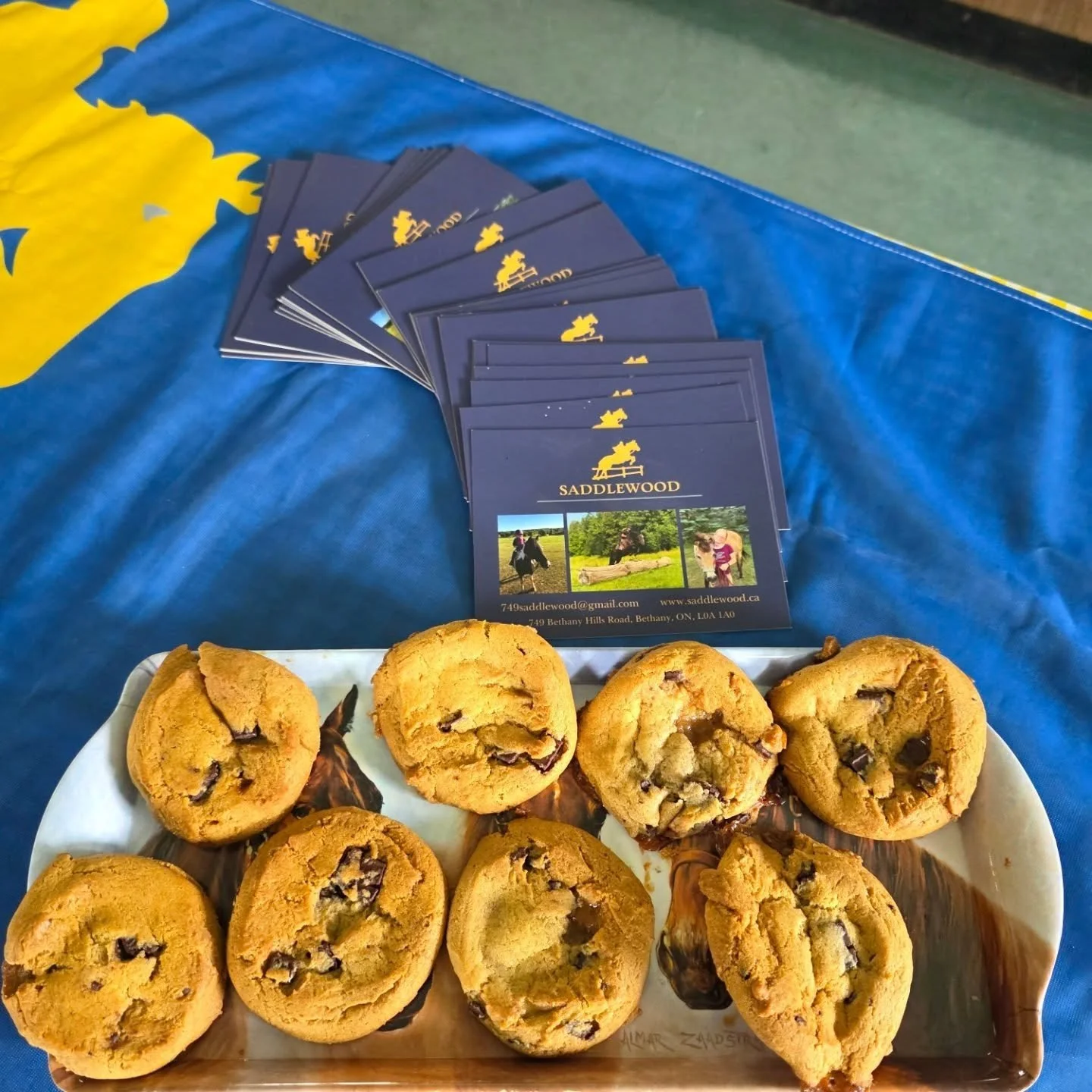 A beautiful  sunny 🌞  day for camp open house! 

Come out to visit, we have cookies :)