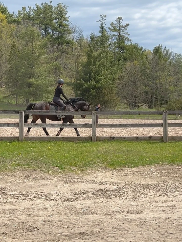 A little glimpse into May Camp 🐴✨