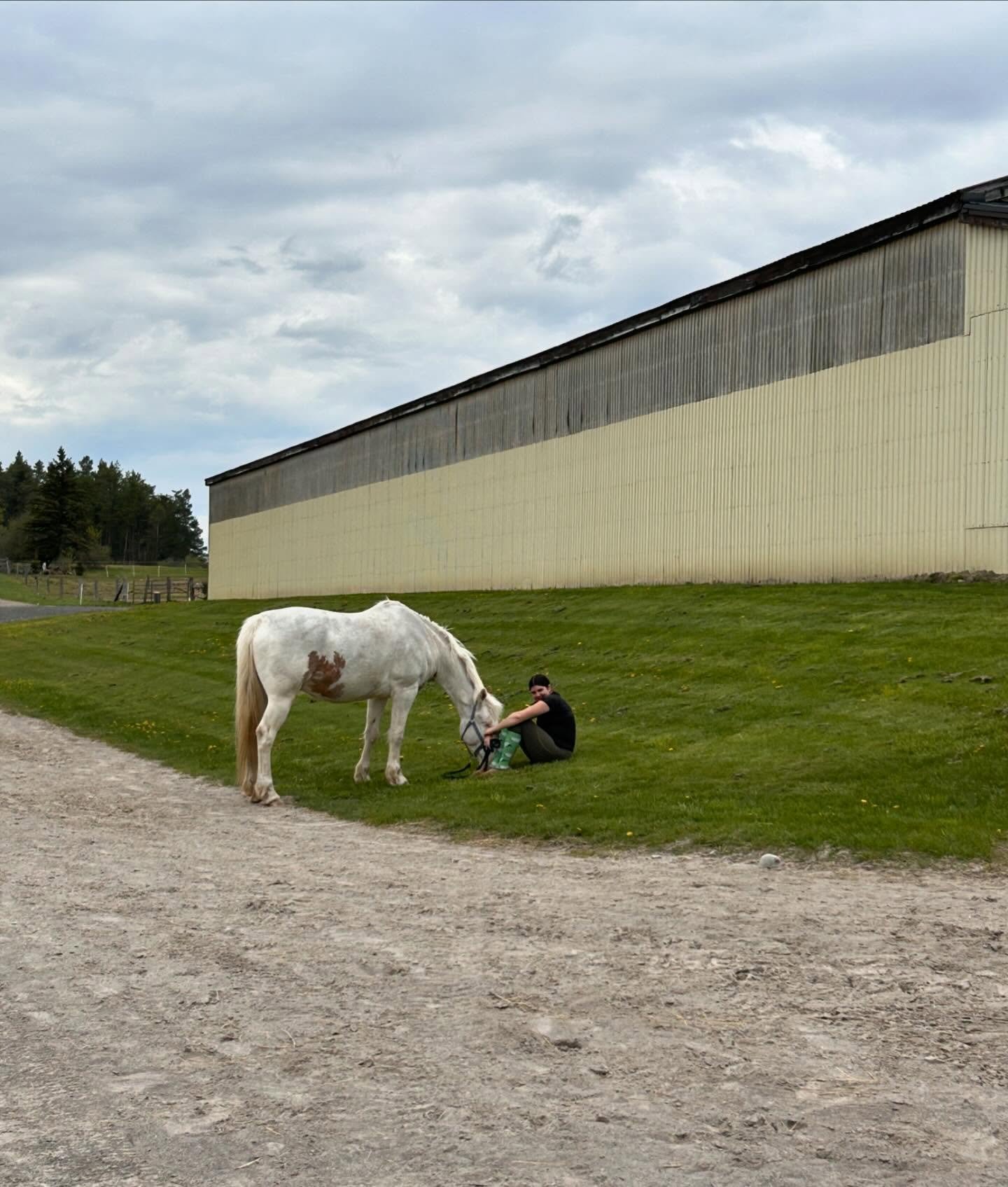 Looks like a new friendship was made at May Camp! 🐴✨