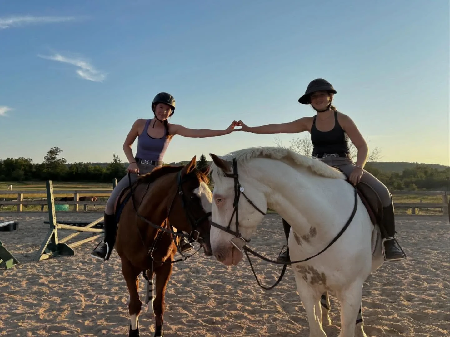 Sometimes horses make friends at camp too! 🤍🐴

#saddlewoodcamp #summercamp