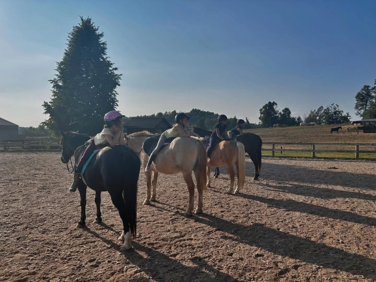 Look at this riding group taking relaxation to a whole new level during the around-the-world challenge, guided by one of our instructors!🐴🌎🌍🌏

#saddlewoodcamp #summercamp
