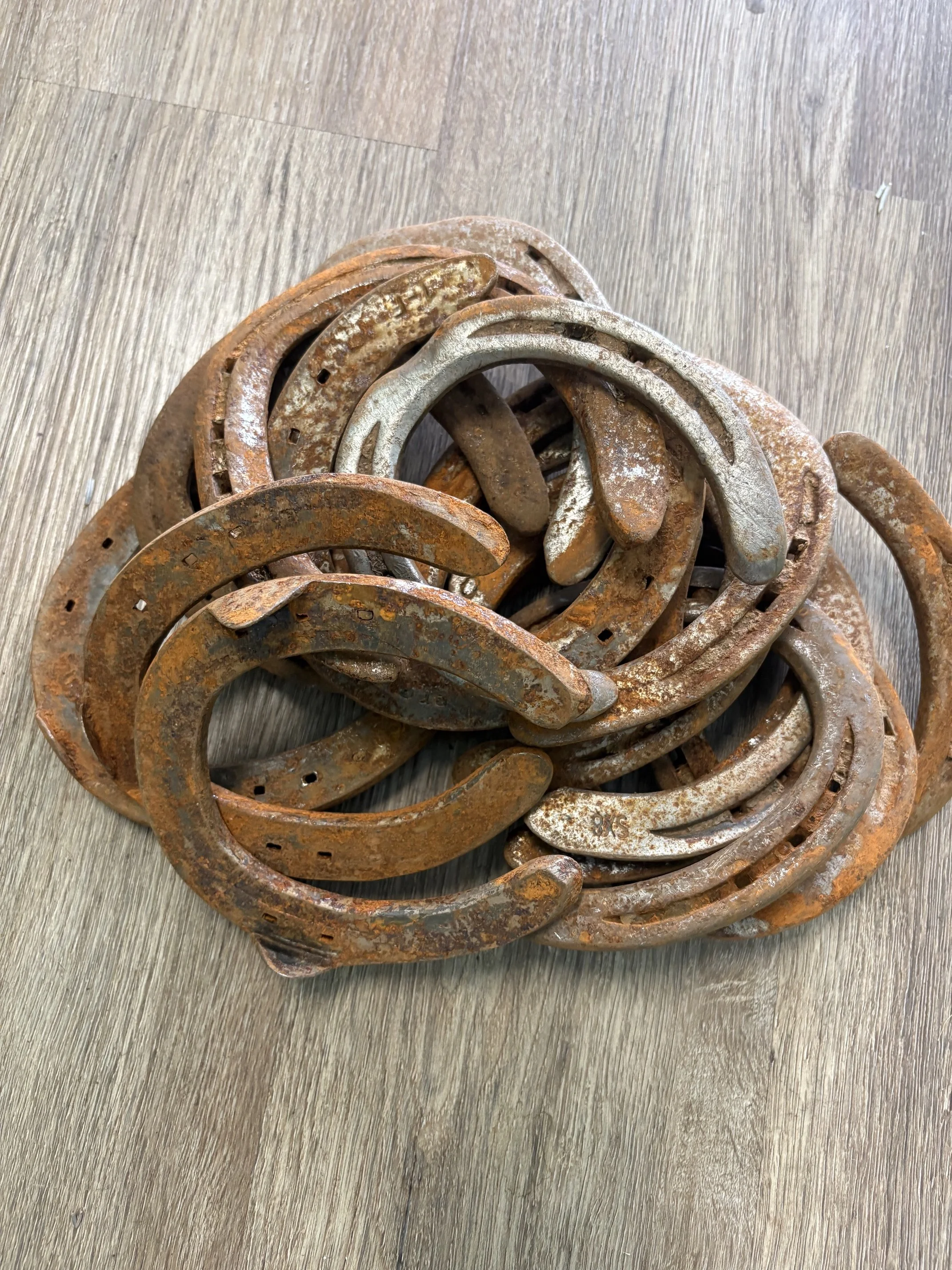 Iron Horseshoe Large