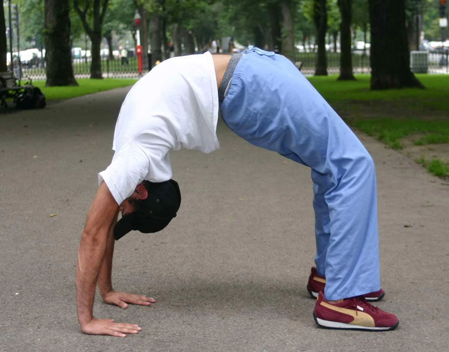 Insight Yoga &amp; Meditation Retreat