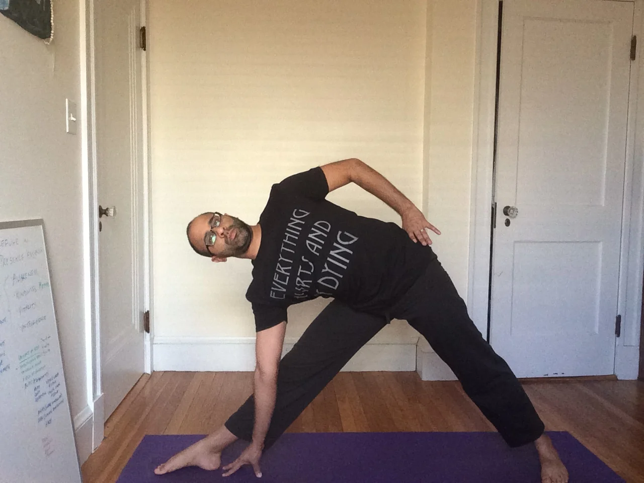 Yoga Therapy in Practice: 8 Week Series