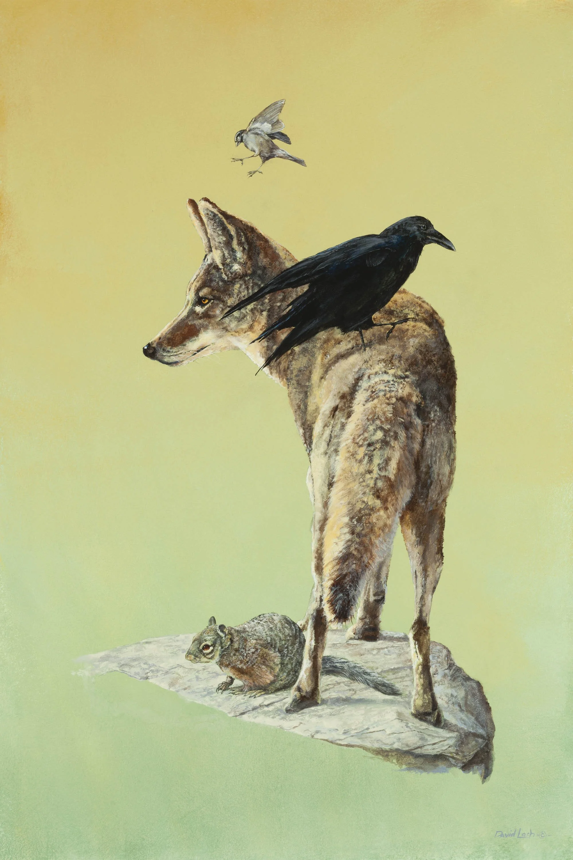 Shareholders with Coyote by David Lash