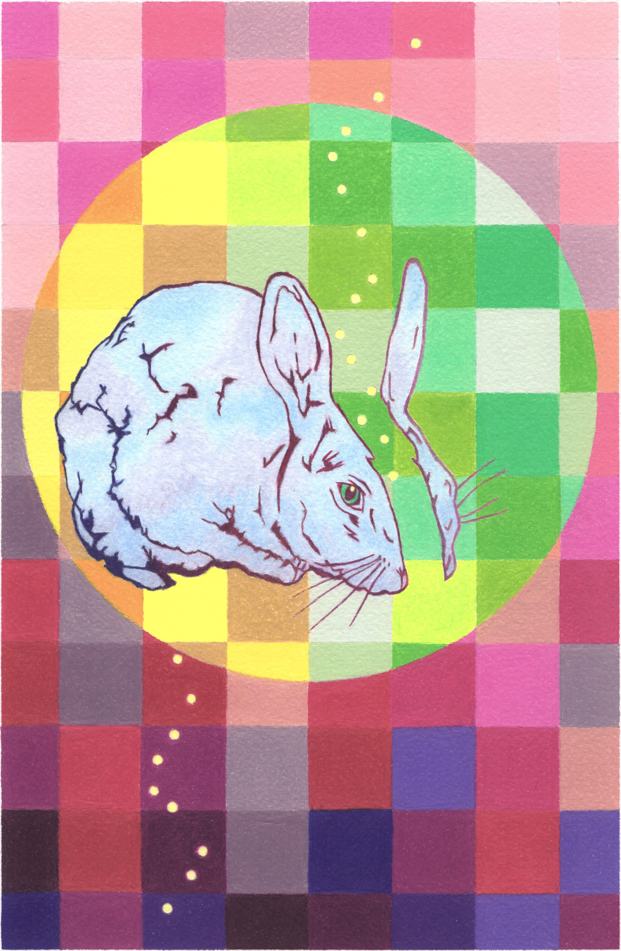 Dreams, Prismatic Spectrums &amp; the Universe with Jessica Majella