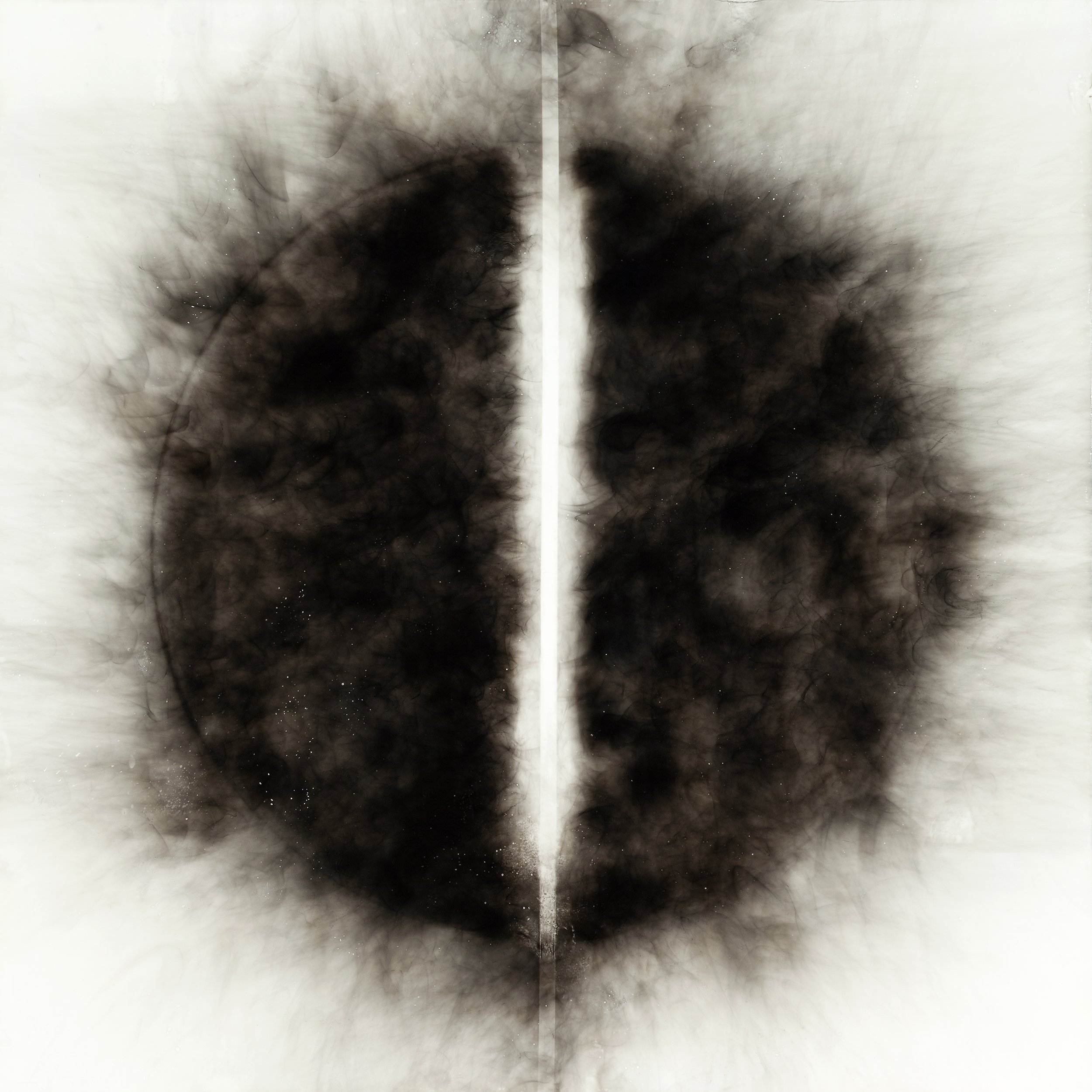 E1621 Fissure.jpg