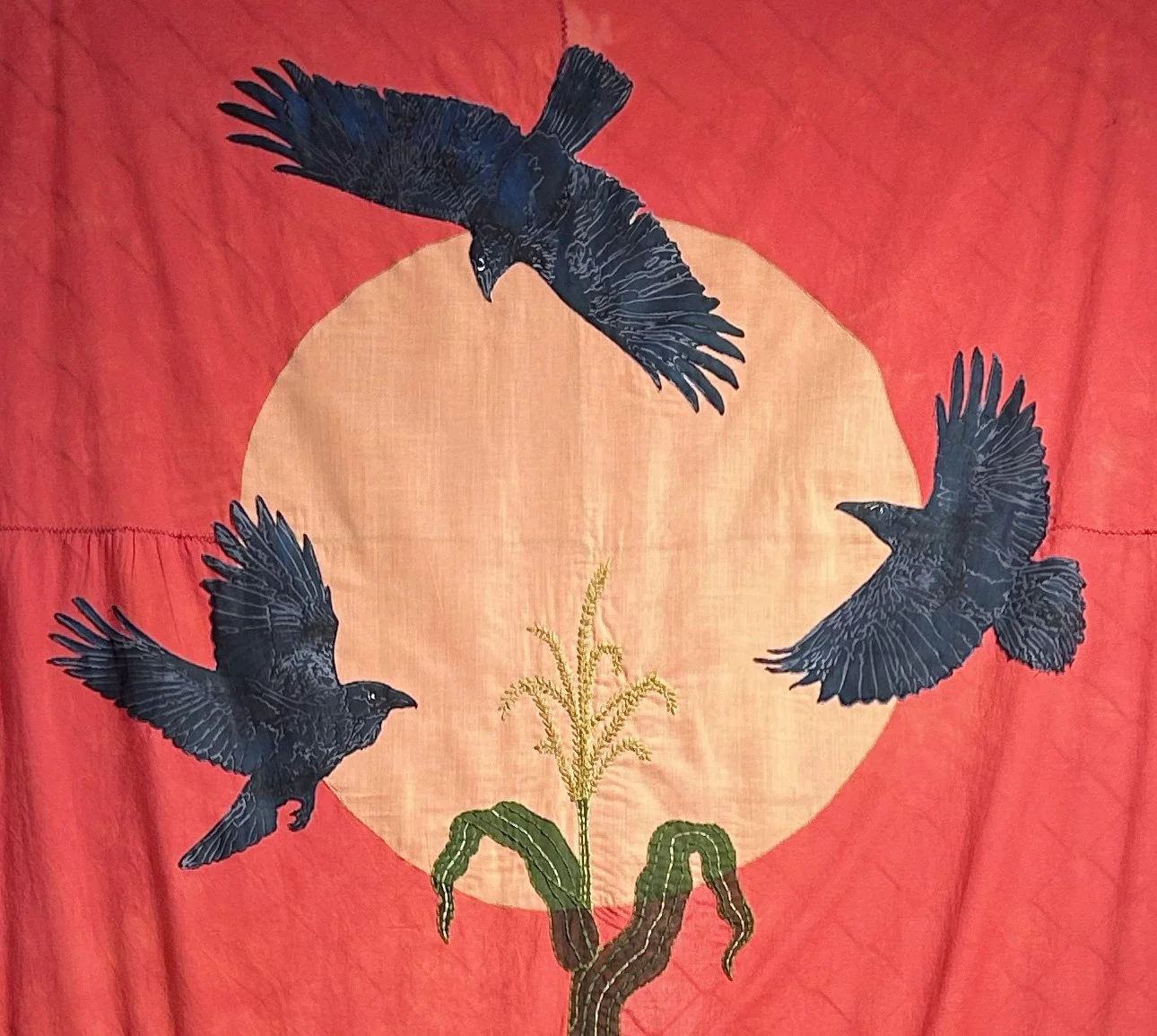 Searching for Refugia with Chiara Rose Skabelund