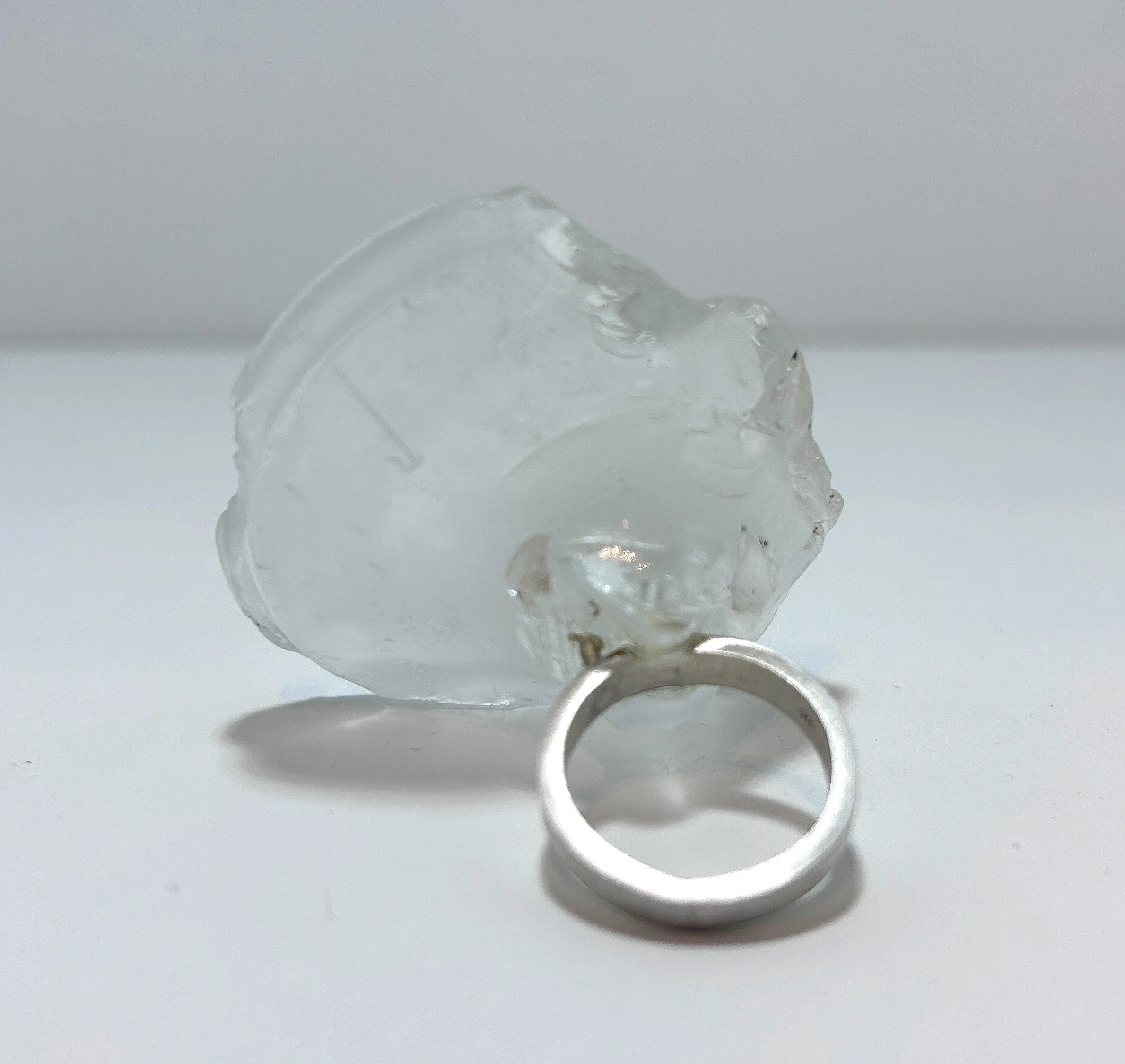 ExpansionRing_Back.jpg