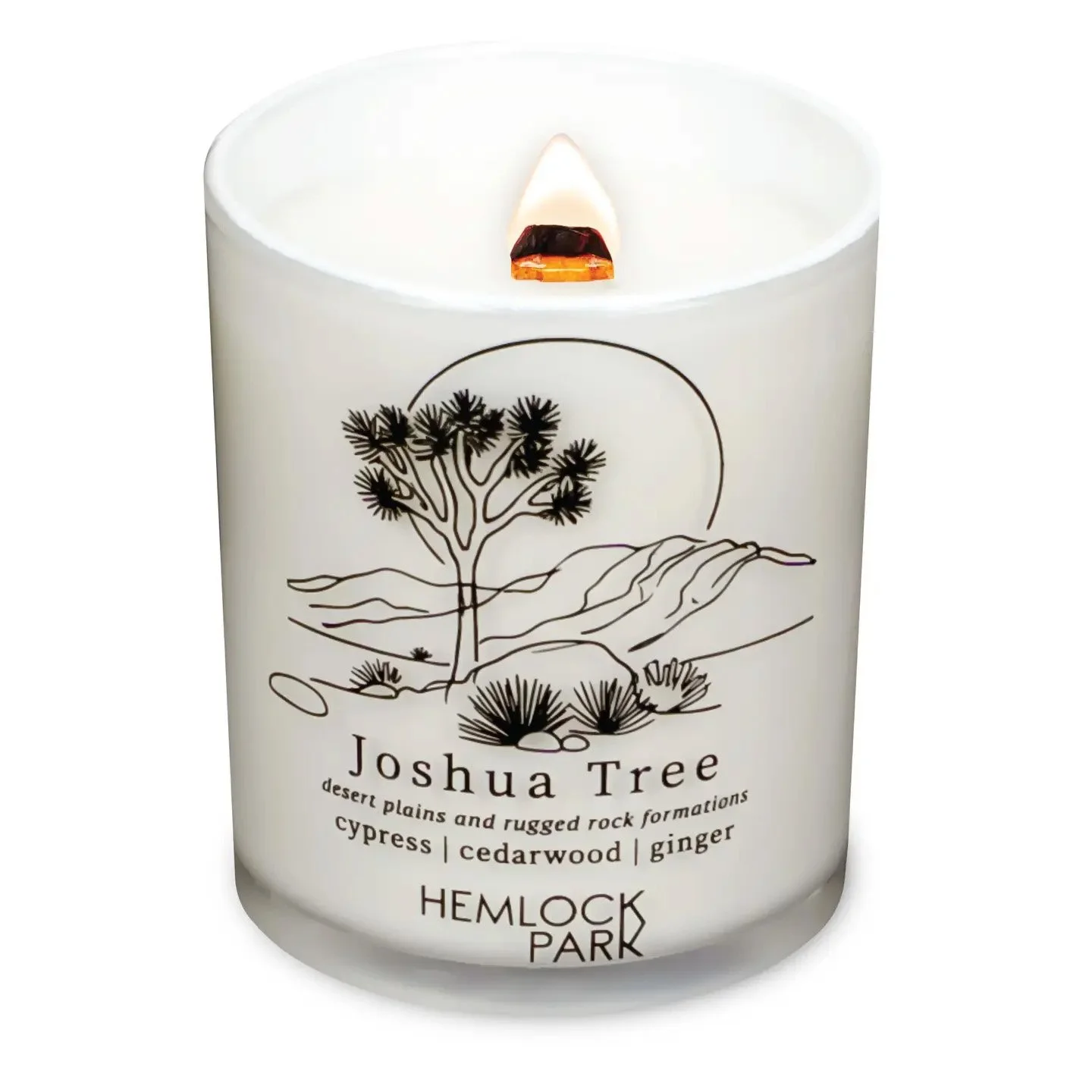 Joshua Tree Candle