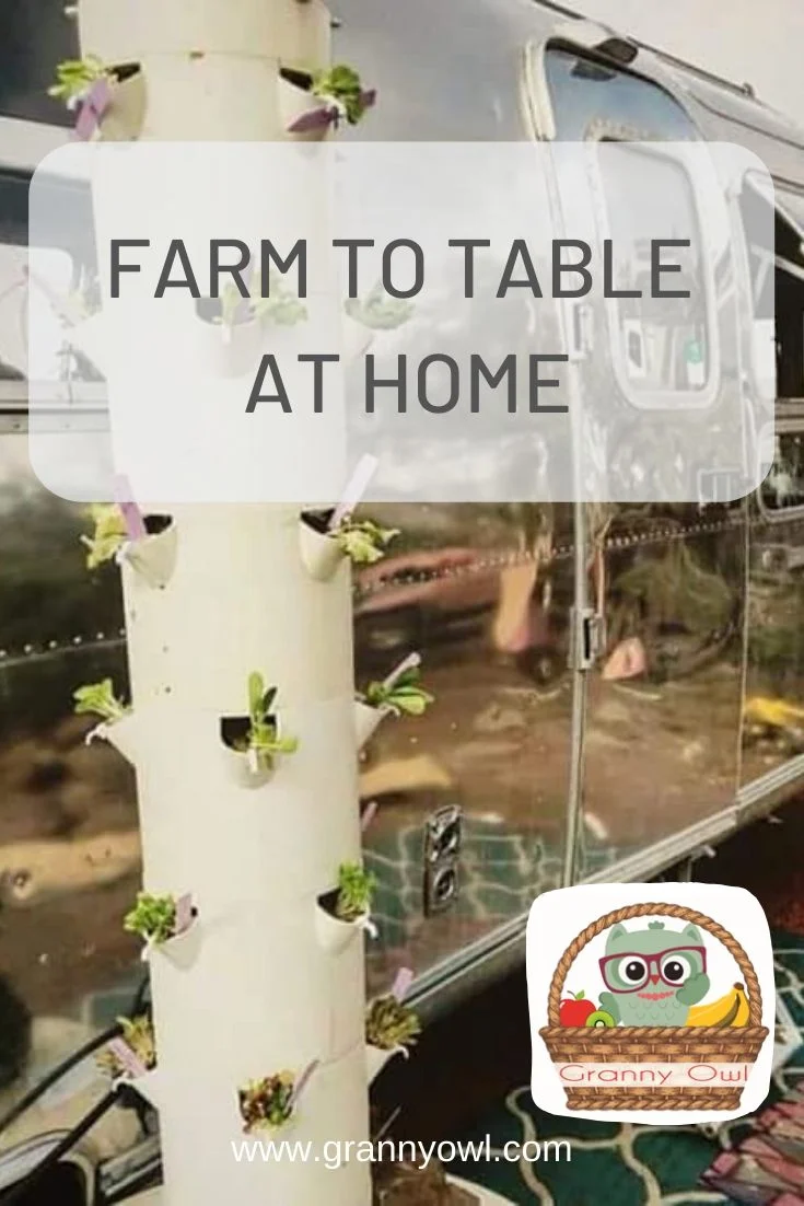 How To Have Farm-To-Table In Your Own Home