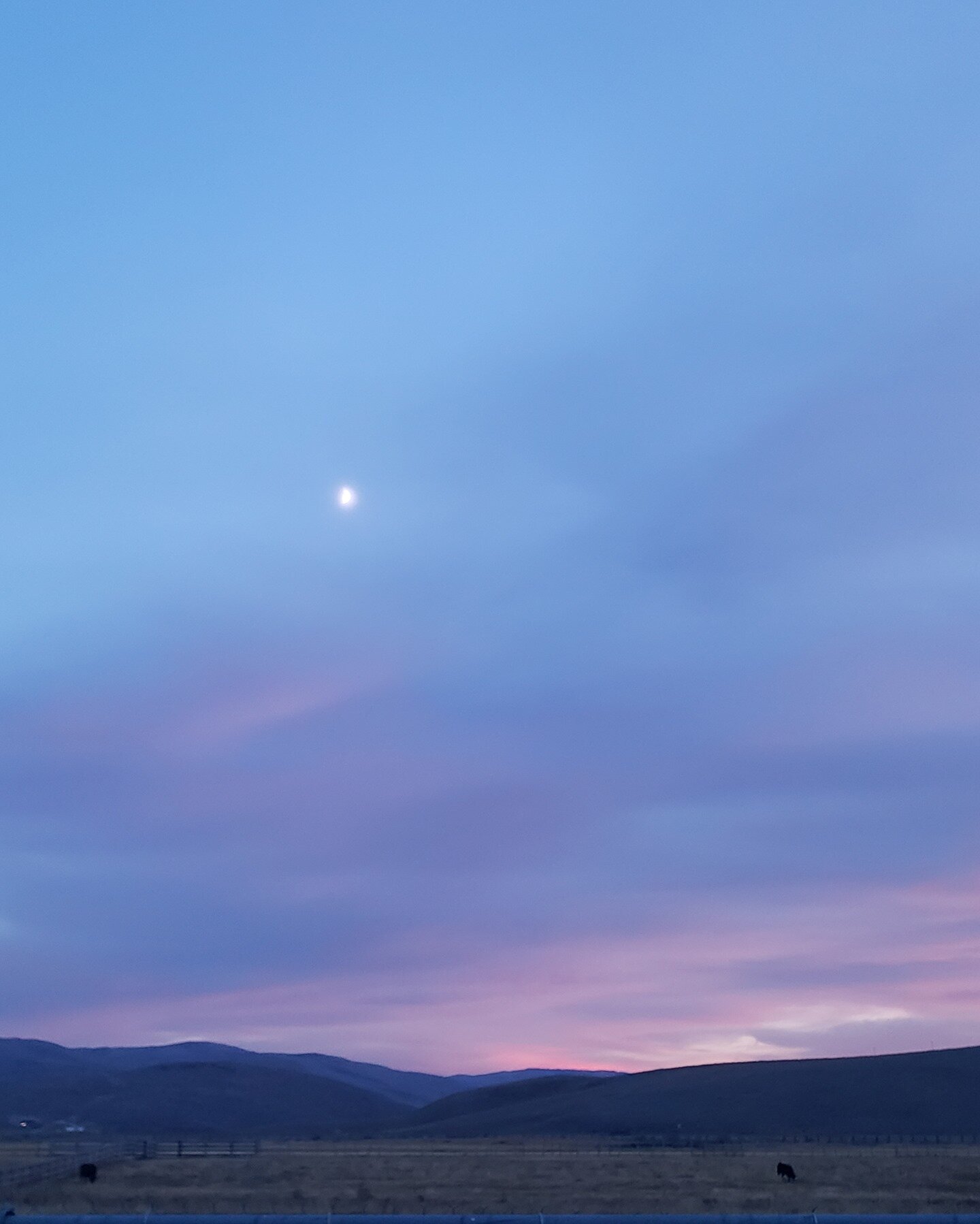What a beautiful moonrise. Do you take a few minutes to appreciate your surroundings?