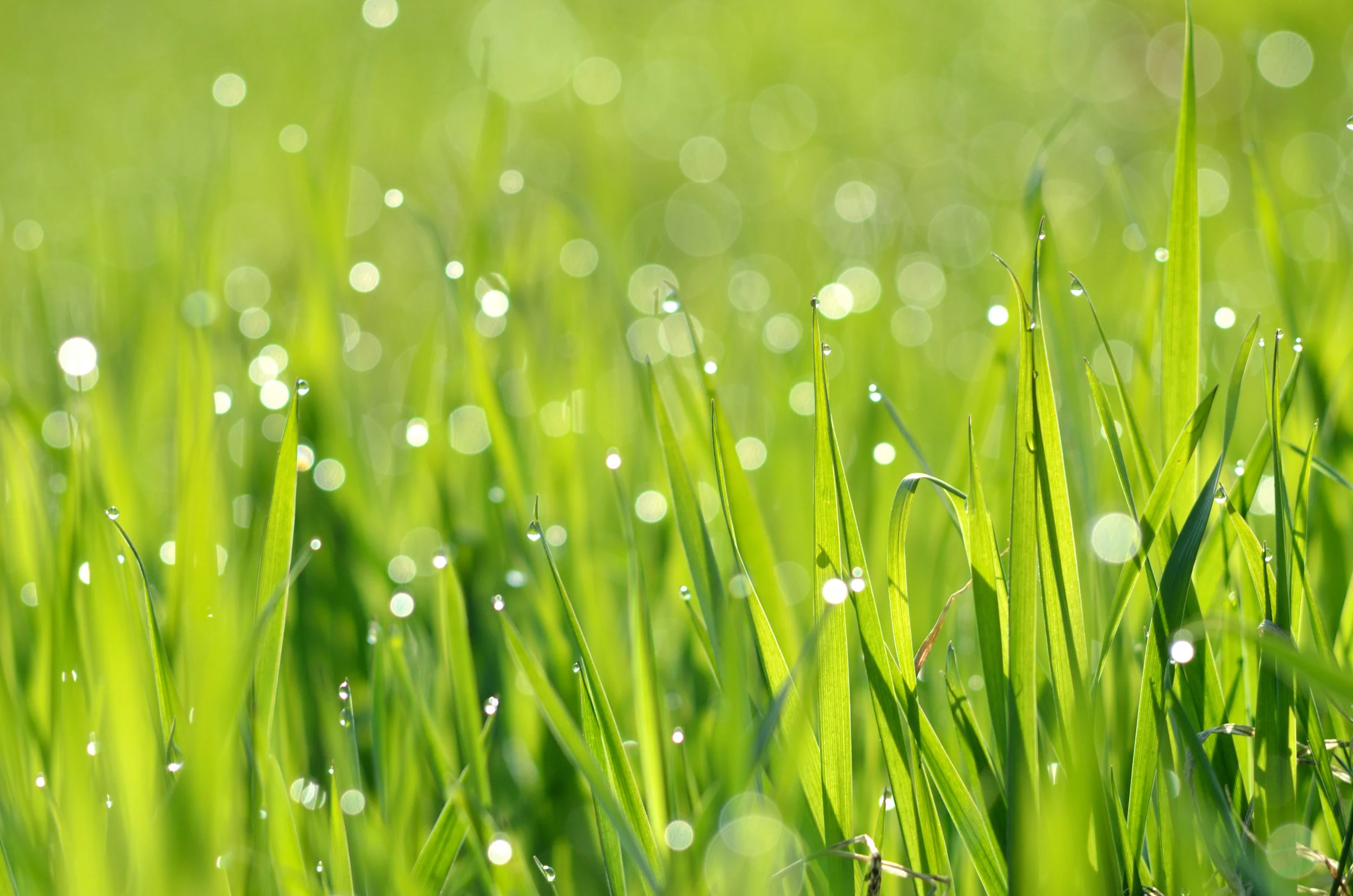 “And suddenly you just know…it’s time to start something new and trust the magic of beginnings.” ~ Meister Eckhart