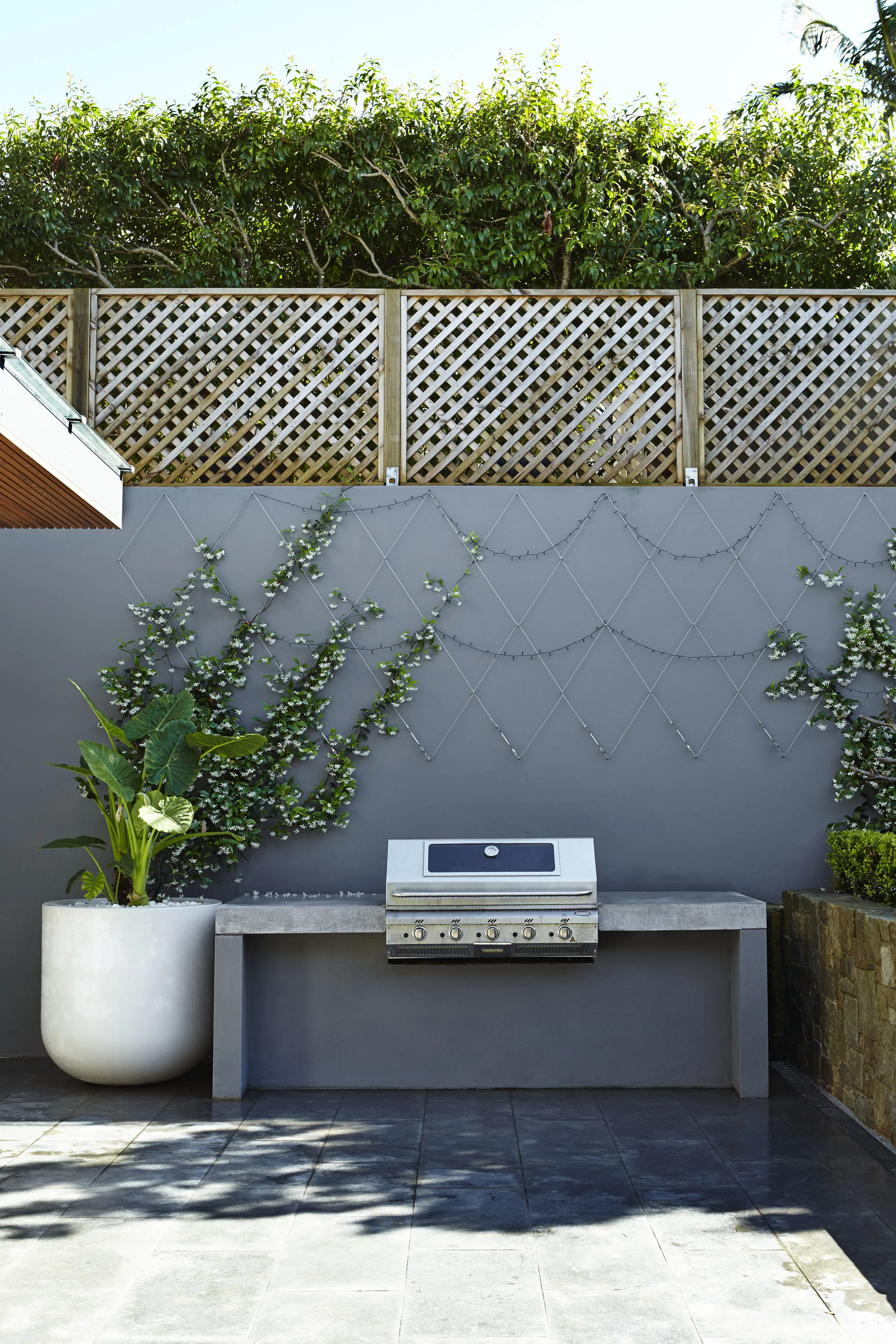 151106_OutdoorEstablishments_BayStMosman_0037.jpg