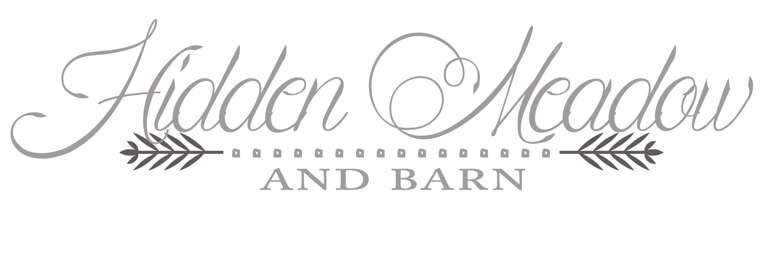 Country Barn Weddings In Pepin Wi The Hidden Meadow Barn