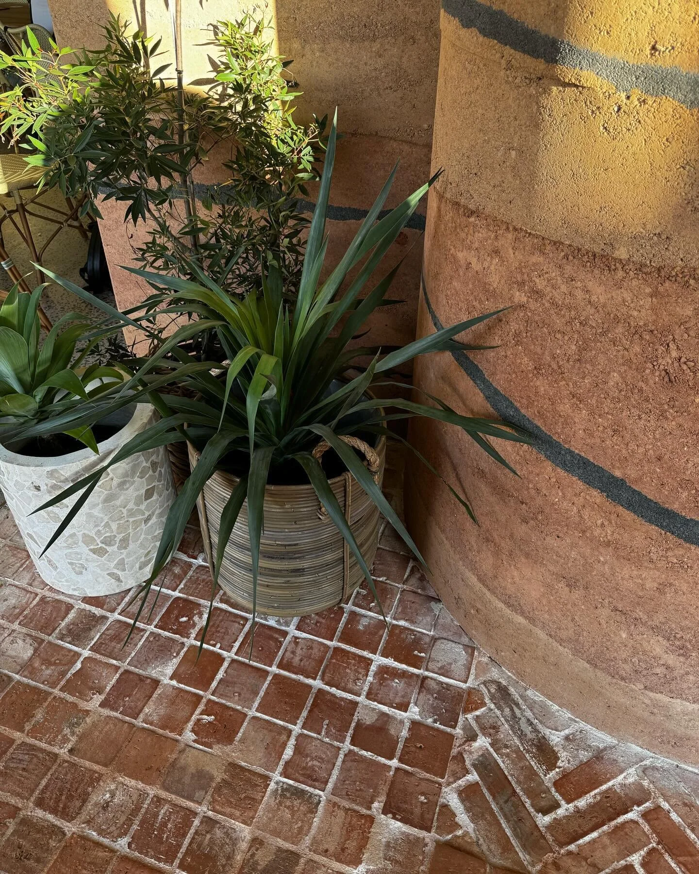 @thevineyardsydney interior details with Studio Brady 🙌 
.
.
.
#wearefabric #fabrichospitality #fabricarchitecture #hoteldesign  #fitout #interiordesign #pub #club #hotel #casino #hospitalitydesign #pubdesign #designmatters #australianinteriors #bes