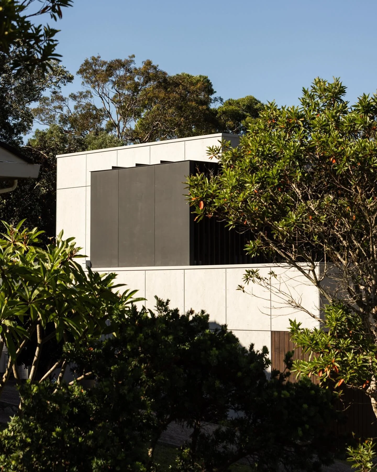Architecture catching the morning light. 
.
.
.
.
.
Builder: @thebuildingestablishment 
Engineer: @northropcentralcoast 
Electrical: @household.electrical 
Cladding: @abodowood 
Cladding: @cemintel 
Roof: @cnf_roofingspecialists 
Stone: @gathercoaust