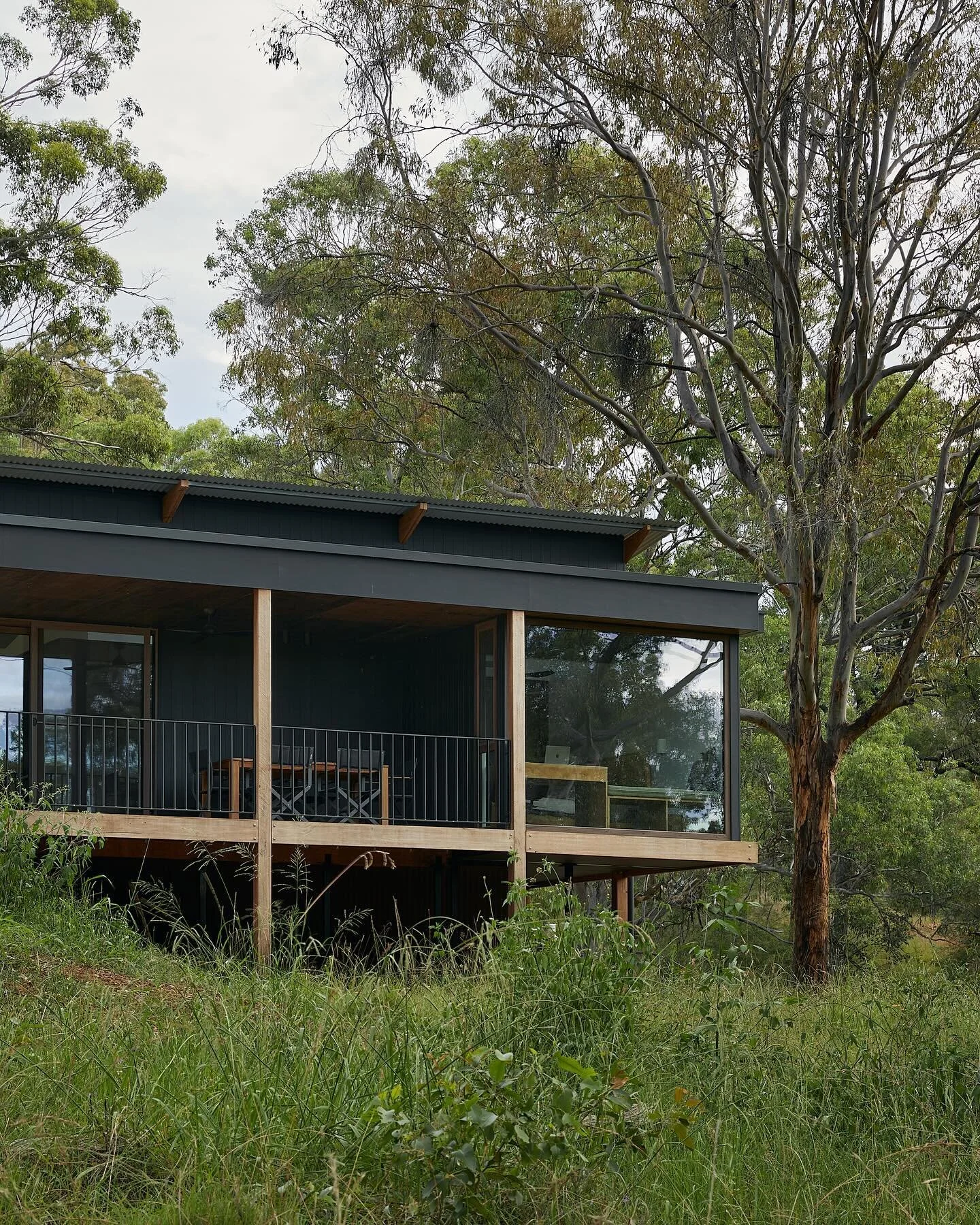 New frames in from the talented @alexmcintyre_photography of the Patanga cabin. A sustainable small dwelling delicately placed in the hunter valley. Built with love by @lou.projects
.
.
.
.
#wearefabric #fabricresidential #fabricarchitecture #archit