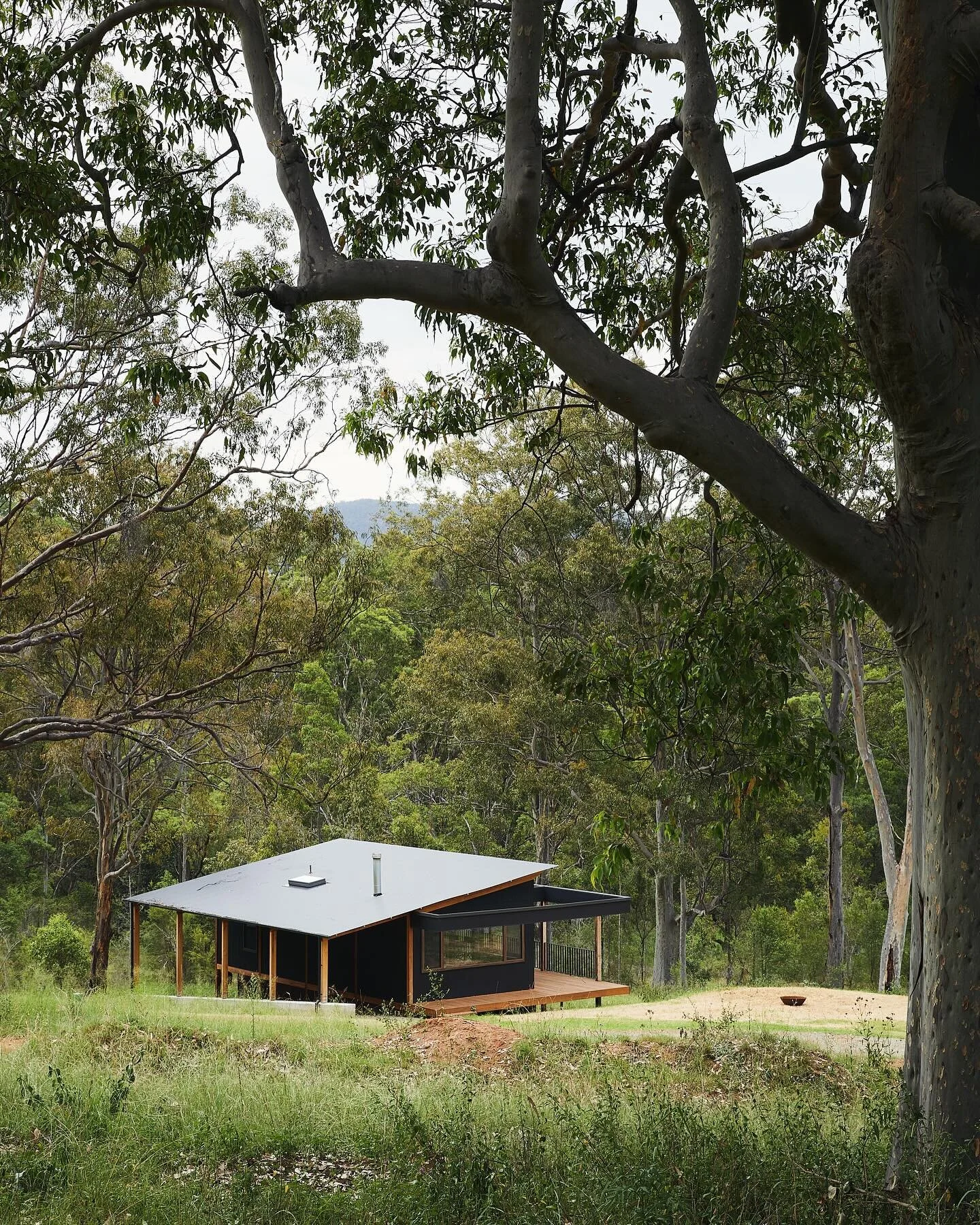 Patanga sitting in place. 
Photo. @alexmcintyre_photography 
.
.
#wearefabric #fabricresidential #fabricarchitecture #architecture #australianarchitecture 
#Coastalarchitecture #construction #centralcoastarchitect #residentialarchitecture
#architect
