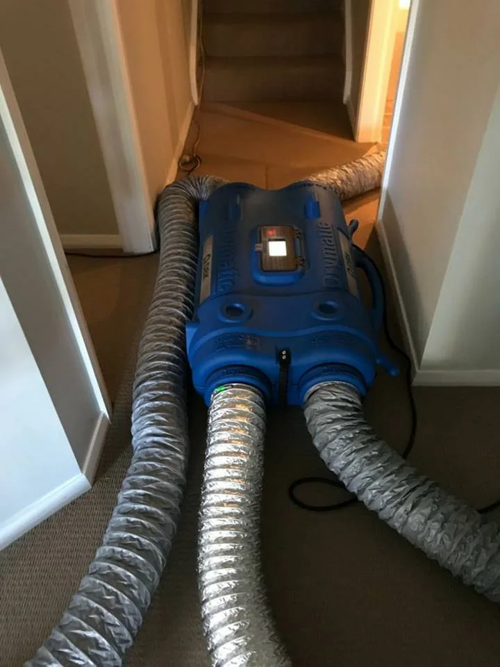 Job of the month, Drymatic Australia Structural Heat drying 1.jpg