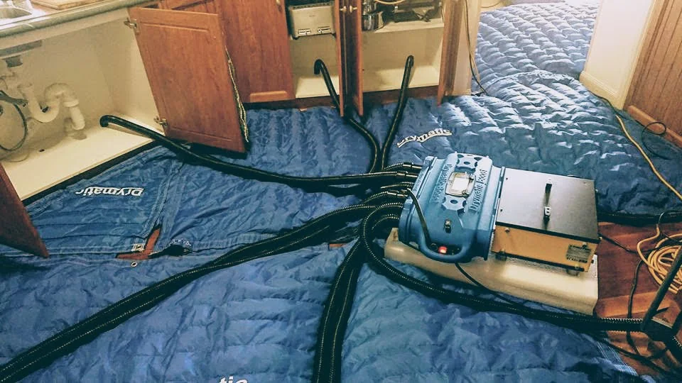 Job of the month - October 2017