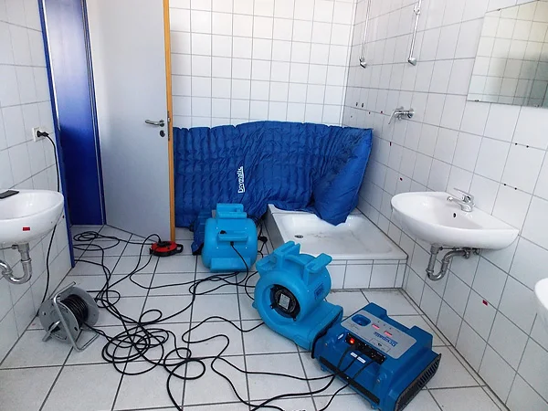Industrial Unit, Rülzheim, Germany - Water damage from broken water pipe