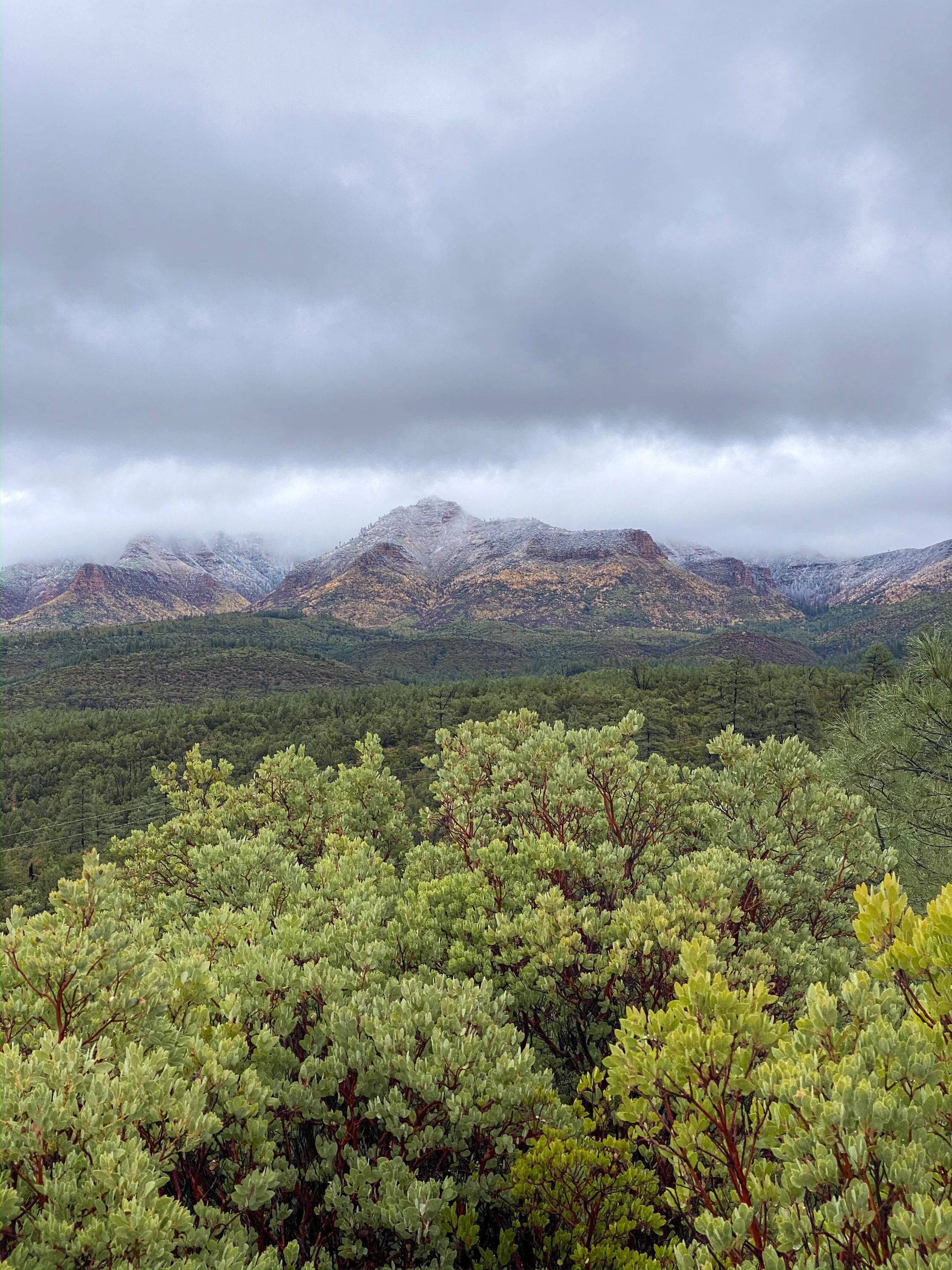 AZ ELK 2019-35.jpg