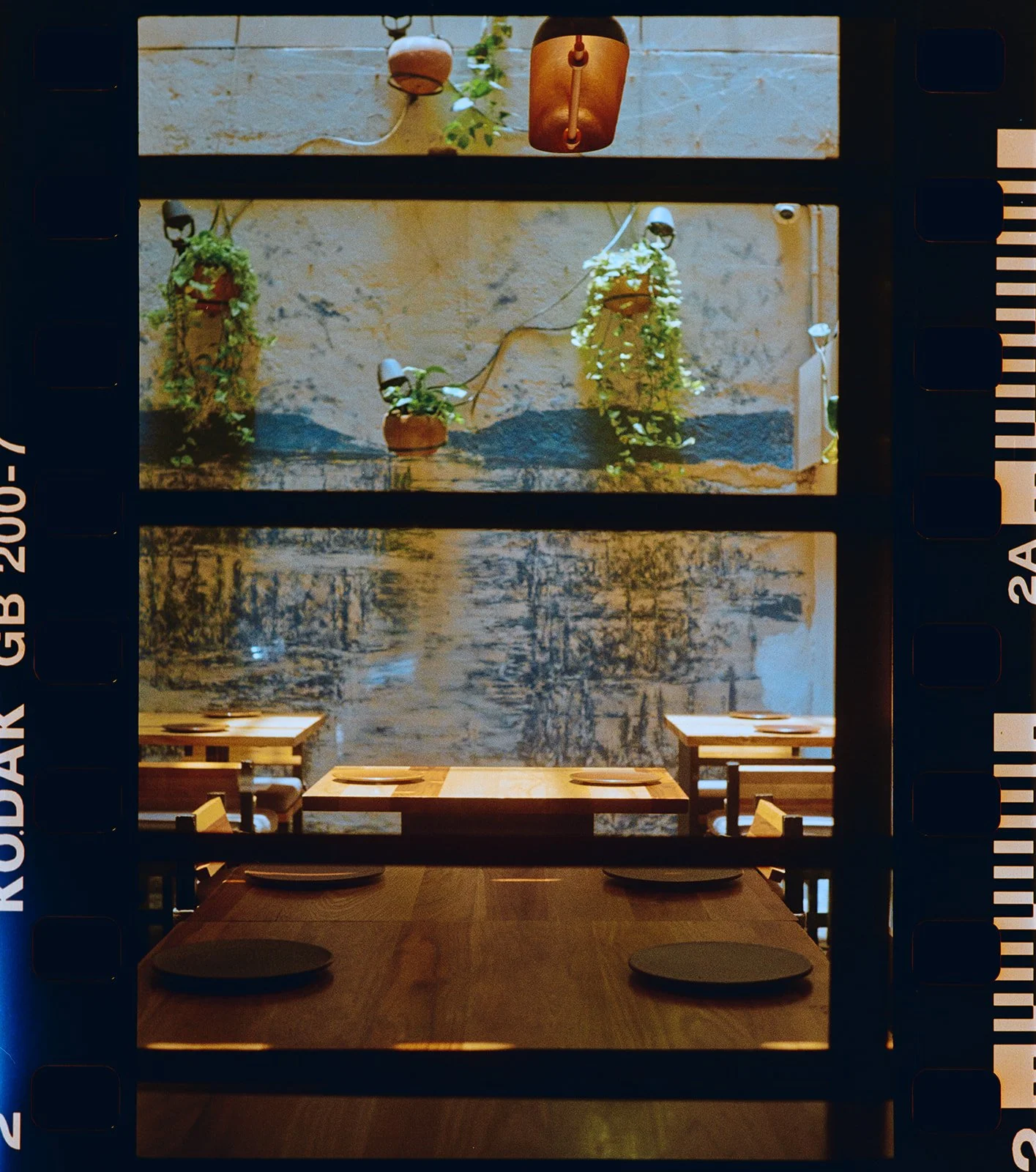 Interior of a restaurant with wooden tables set with plates, a stone wall mural of trees, and hanging potted plants with greenery