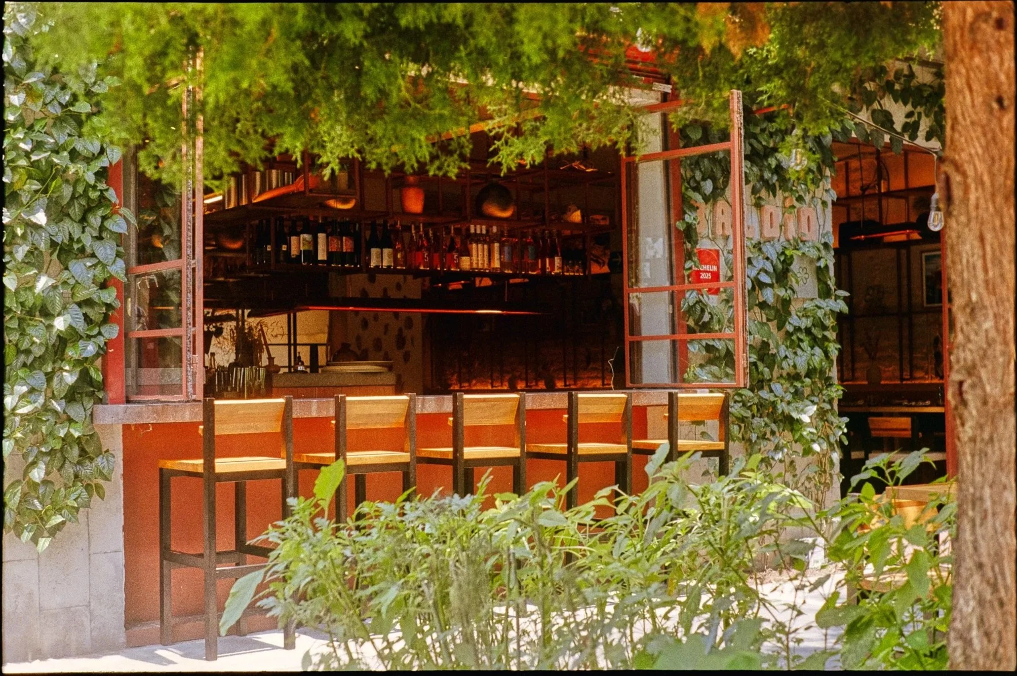 A perspective shot of a framed shop or cafe entrance with lots of greenery including ivy and tree branches, with a bar or counter visible inside, and a sign indicating Michelin recognition in 2025.