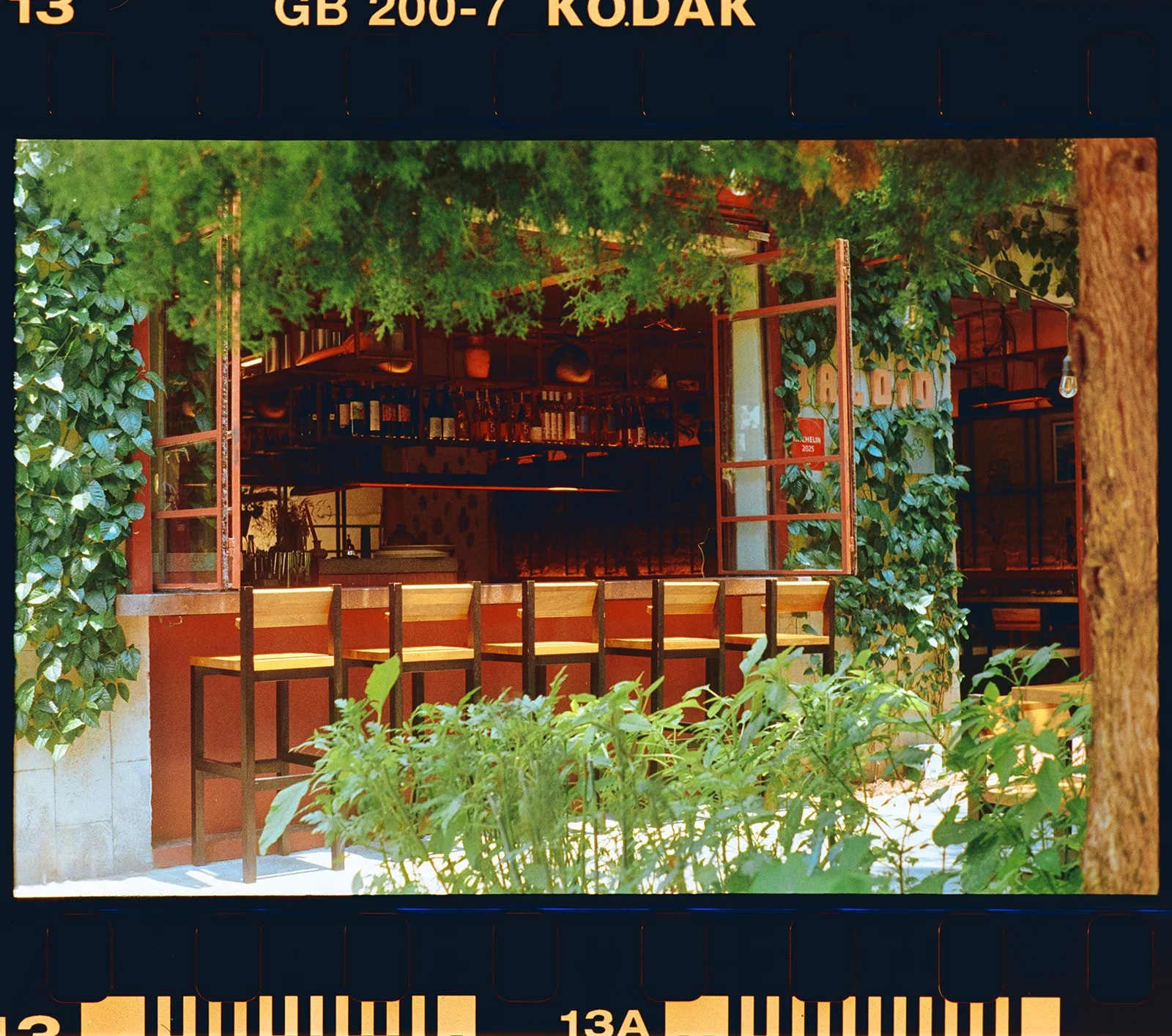 A cafe or restaurant with large open windows, surrounded by lush green plants and trees, with bar stools visible outside.