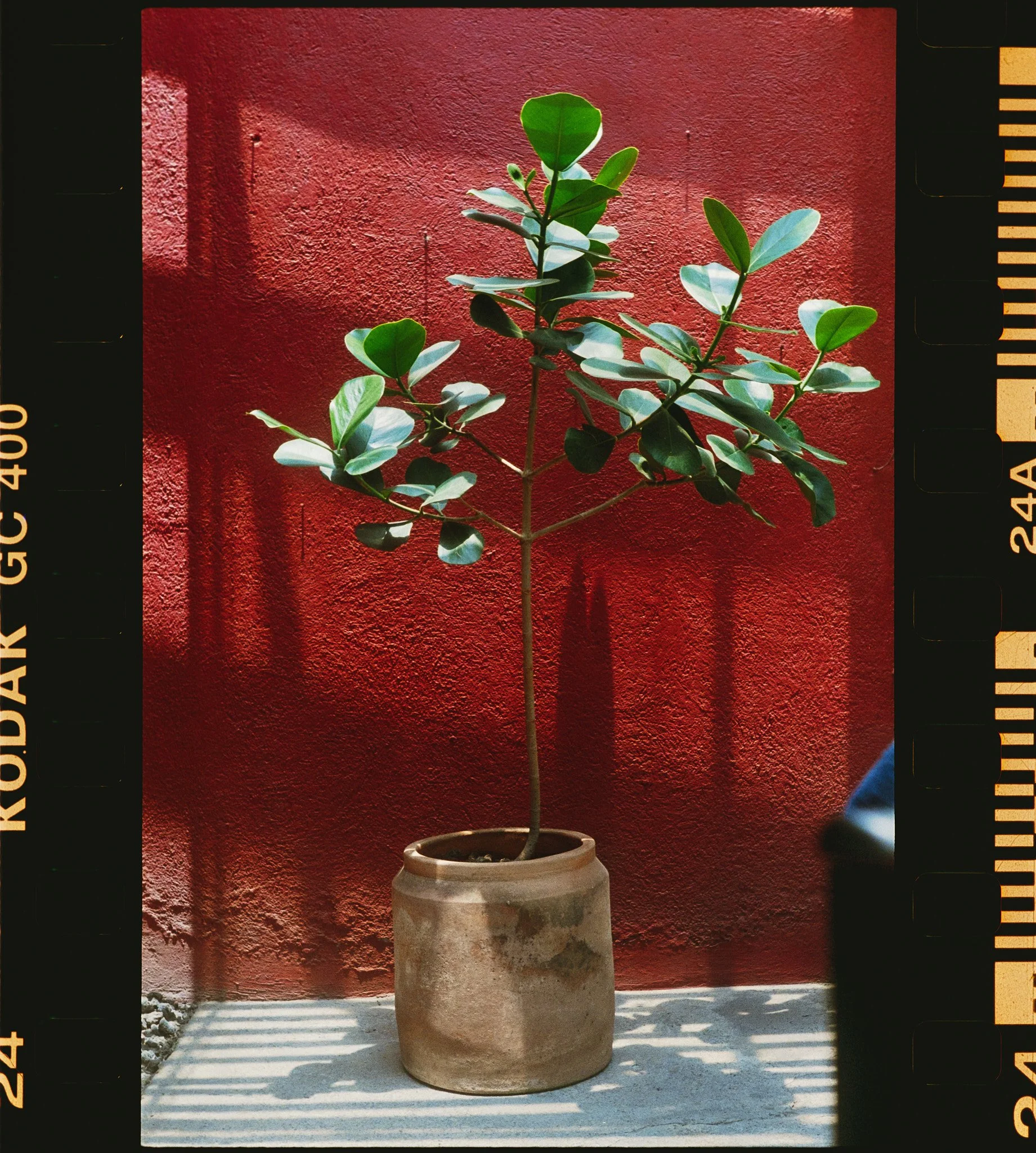 Ultramax 400- 17.jpg