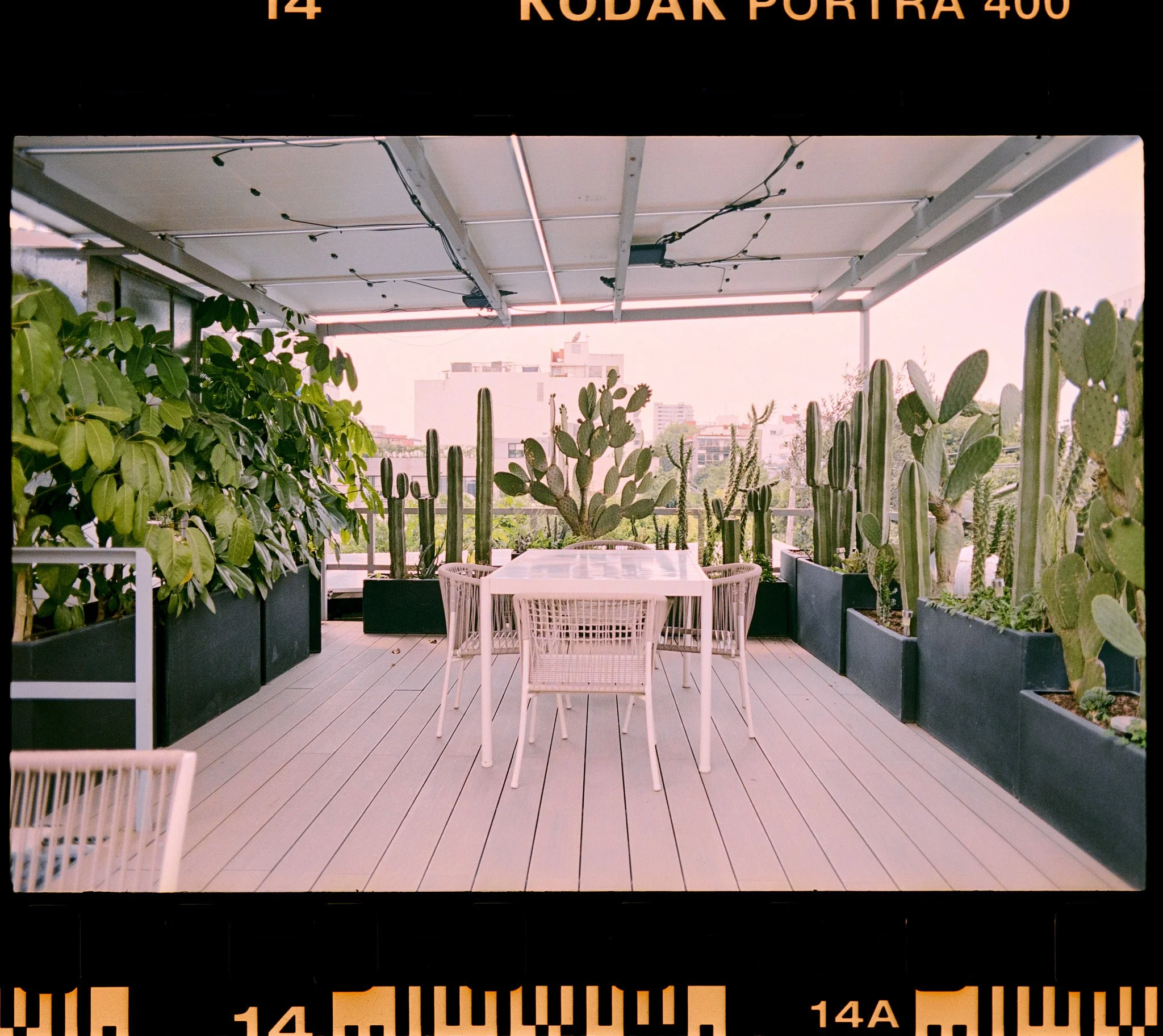 A rooftop terrace with white wooden flooring, lush green plants in black planters, and white chairs around a white table. The background shows a cityscape with buildings under a pastel evening sky.