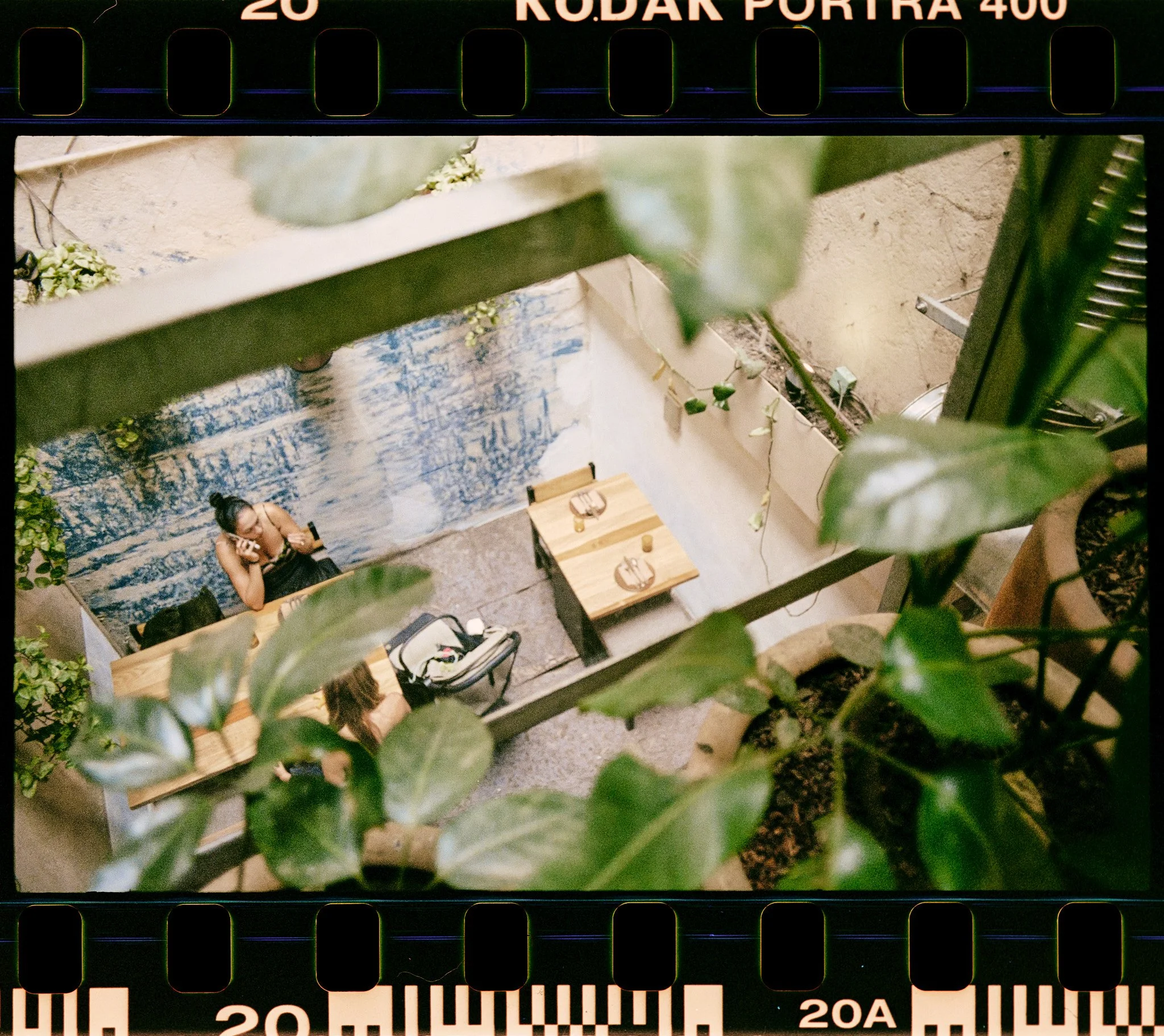 A woman sitting at a small wooden table, talking on a cellphone, surrounded by green plants, in an indoor setting with a blue abstract mural on the wall.