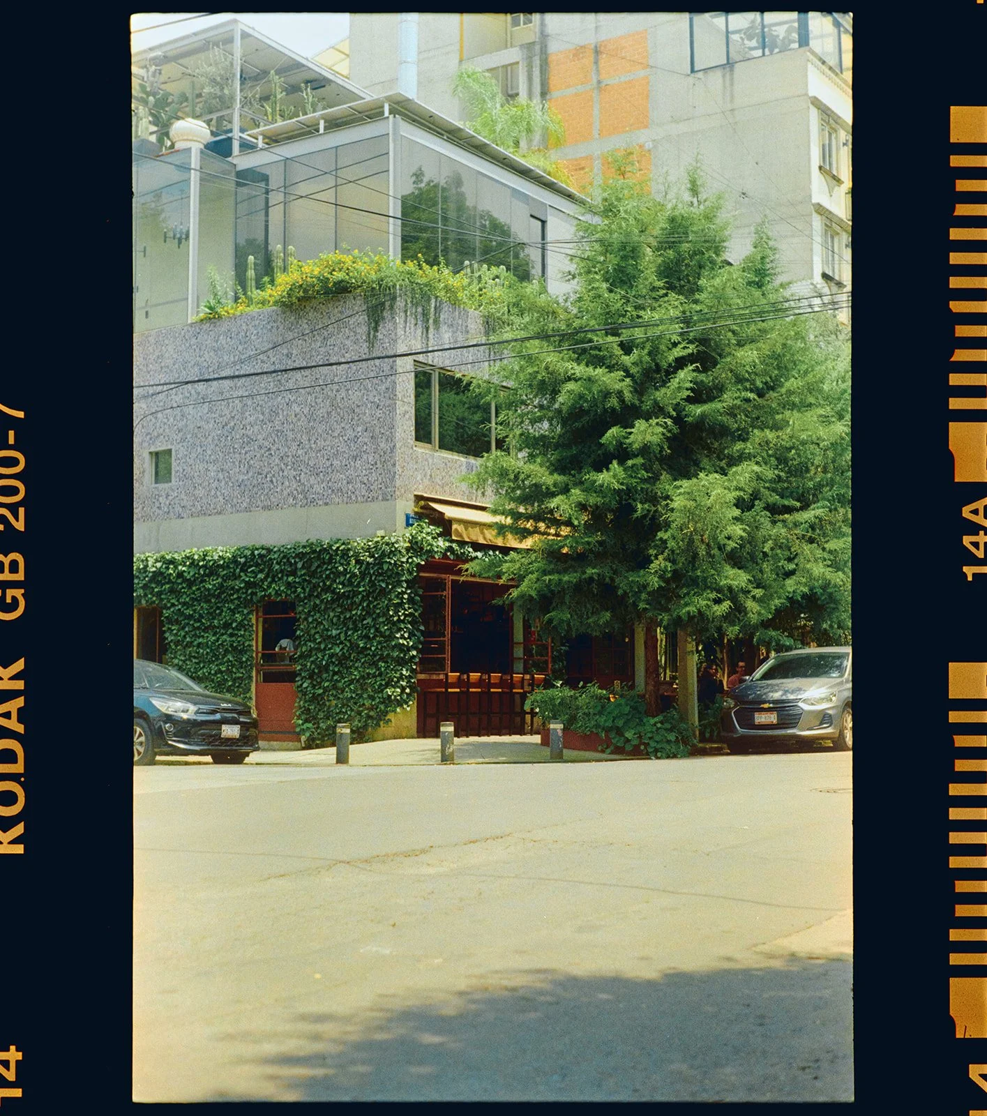 A modern building with large glass windows and plants on the rooftop, surrounded by tall trees and parked cars in front on the street.