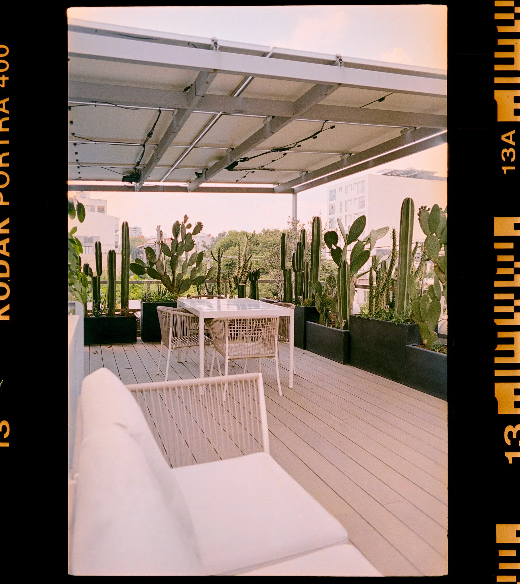 View of a rooftop terrace with a white table and chairs, surrounded by potted cactus plants under a white pergola, with a cityscape in the background.
