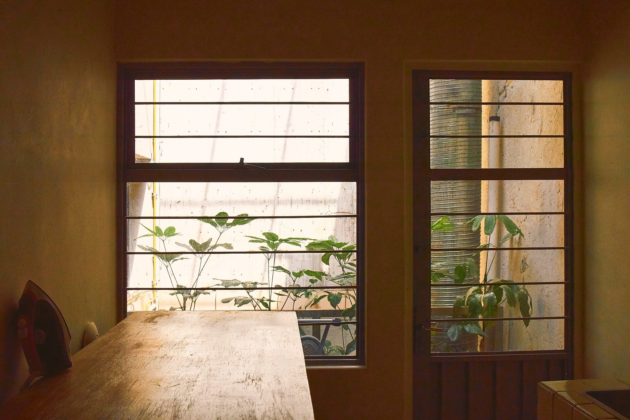 Inside view of a house with two windows, view of a garden with plants, and a wooden dining table.