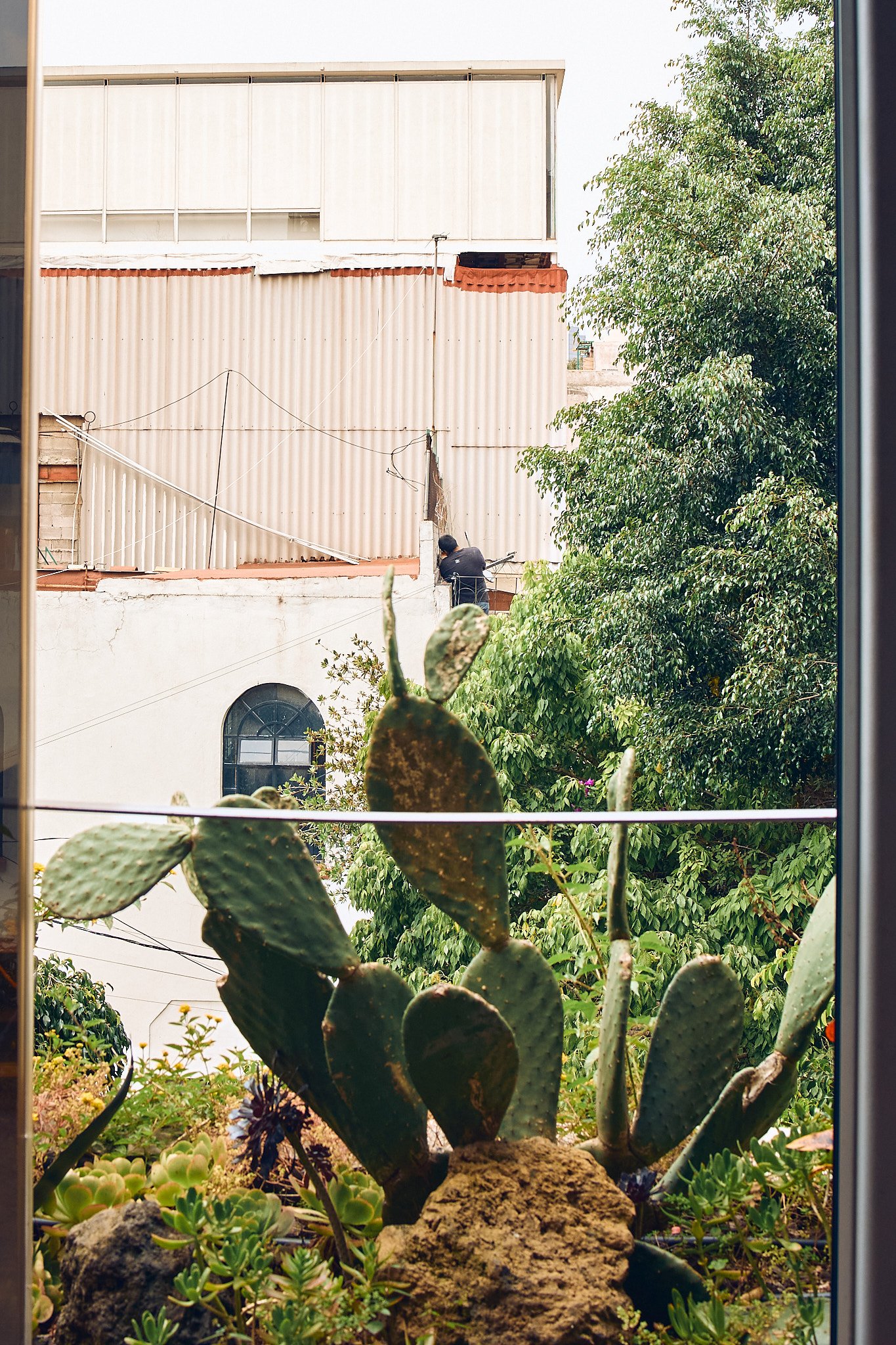 A view from inside a window showing a balcony with a person sitting and working, and a background of a building with a tin wall and a tree with green foliage.