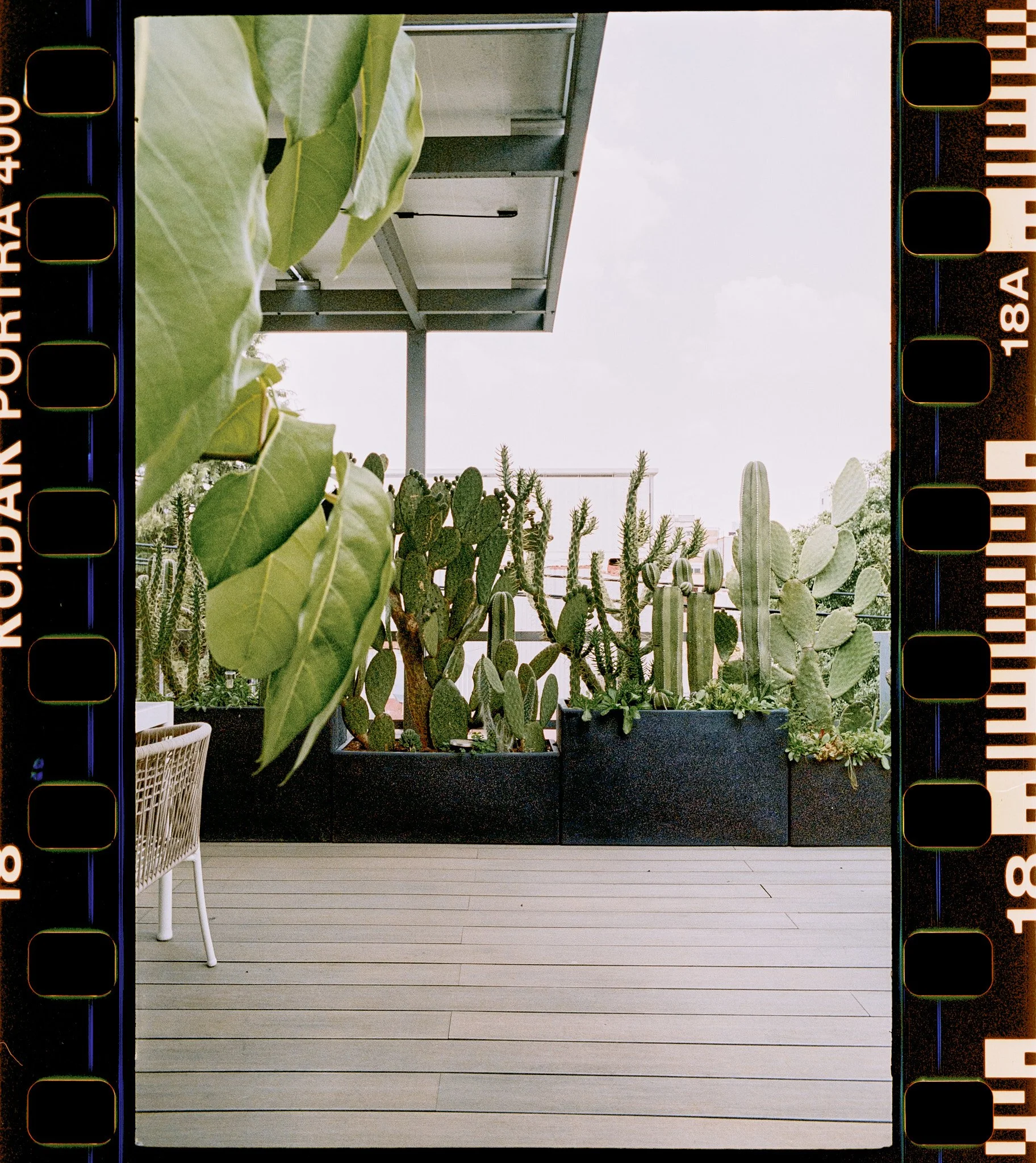 Indoor patio or balcony with potted cacti and a white chair, featuring a clear sky view through large windows or open wall.