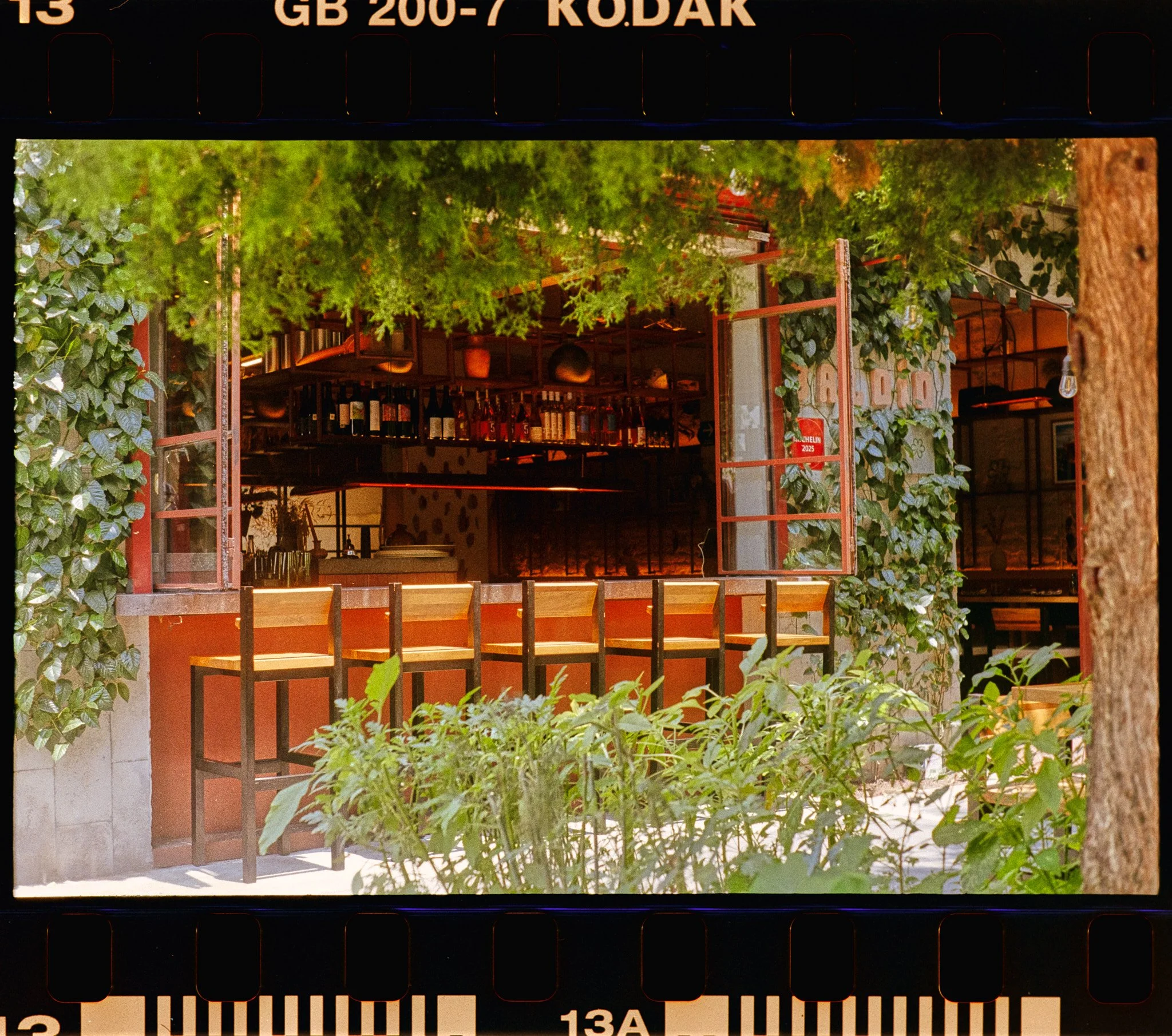 Gold 200 - 12.jpg